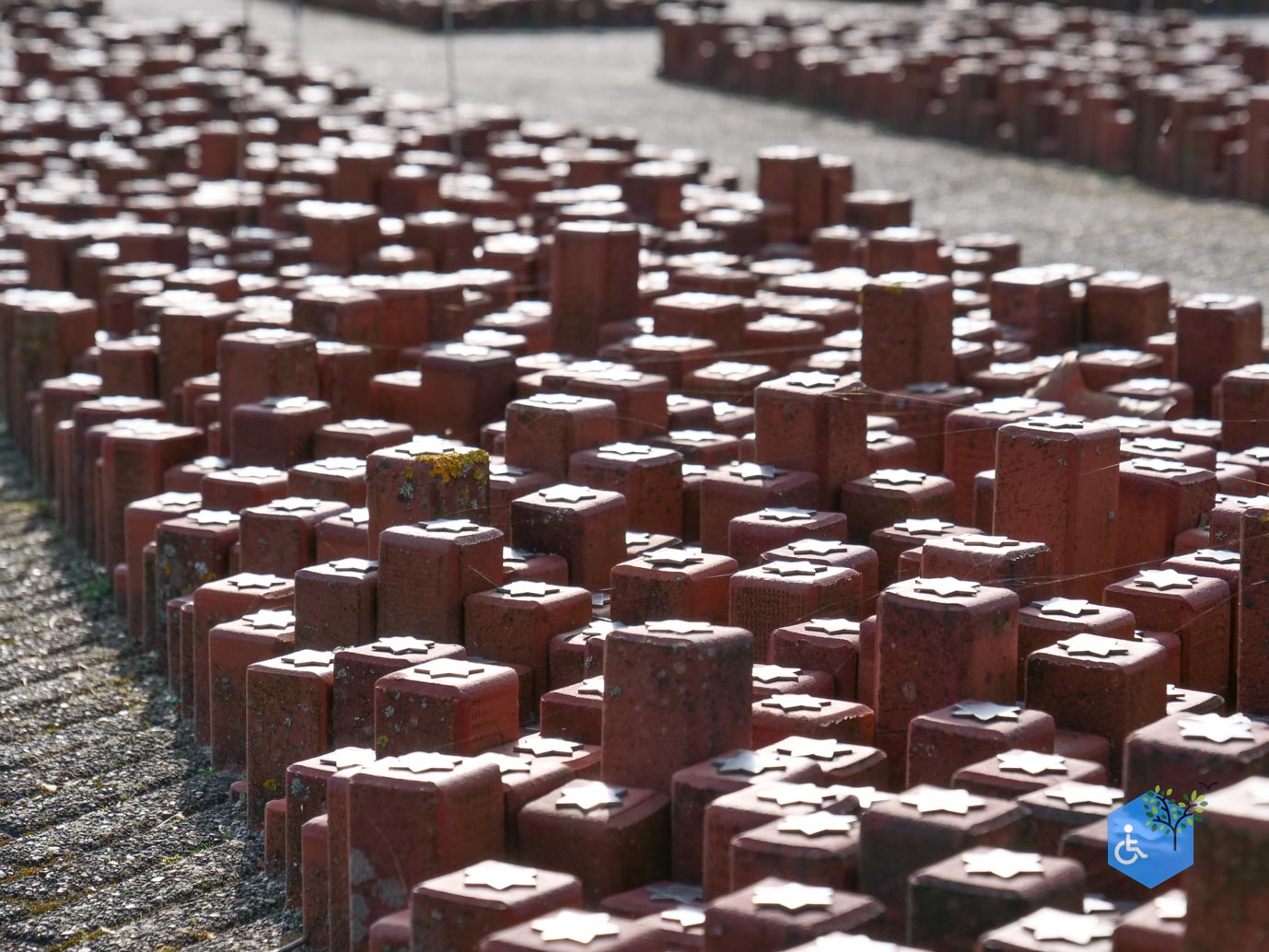 Hooghalen_Kamp_Westerbork_08-03-2026-43