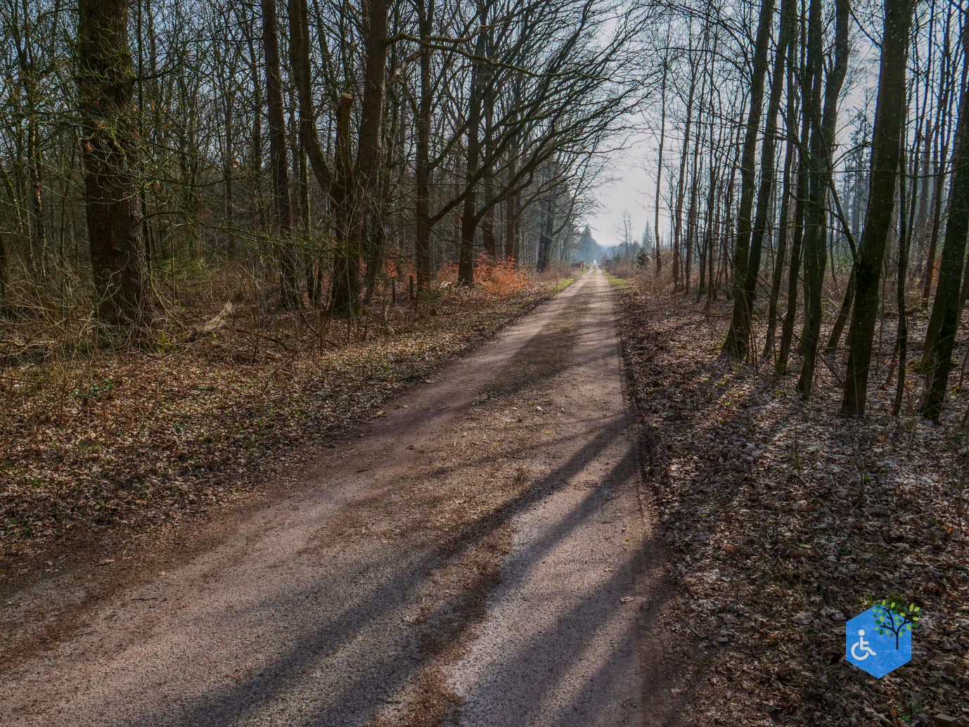 Hooghalen_Kamp_Westerbork_08-03-2026-75