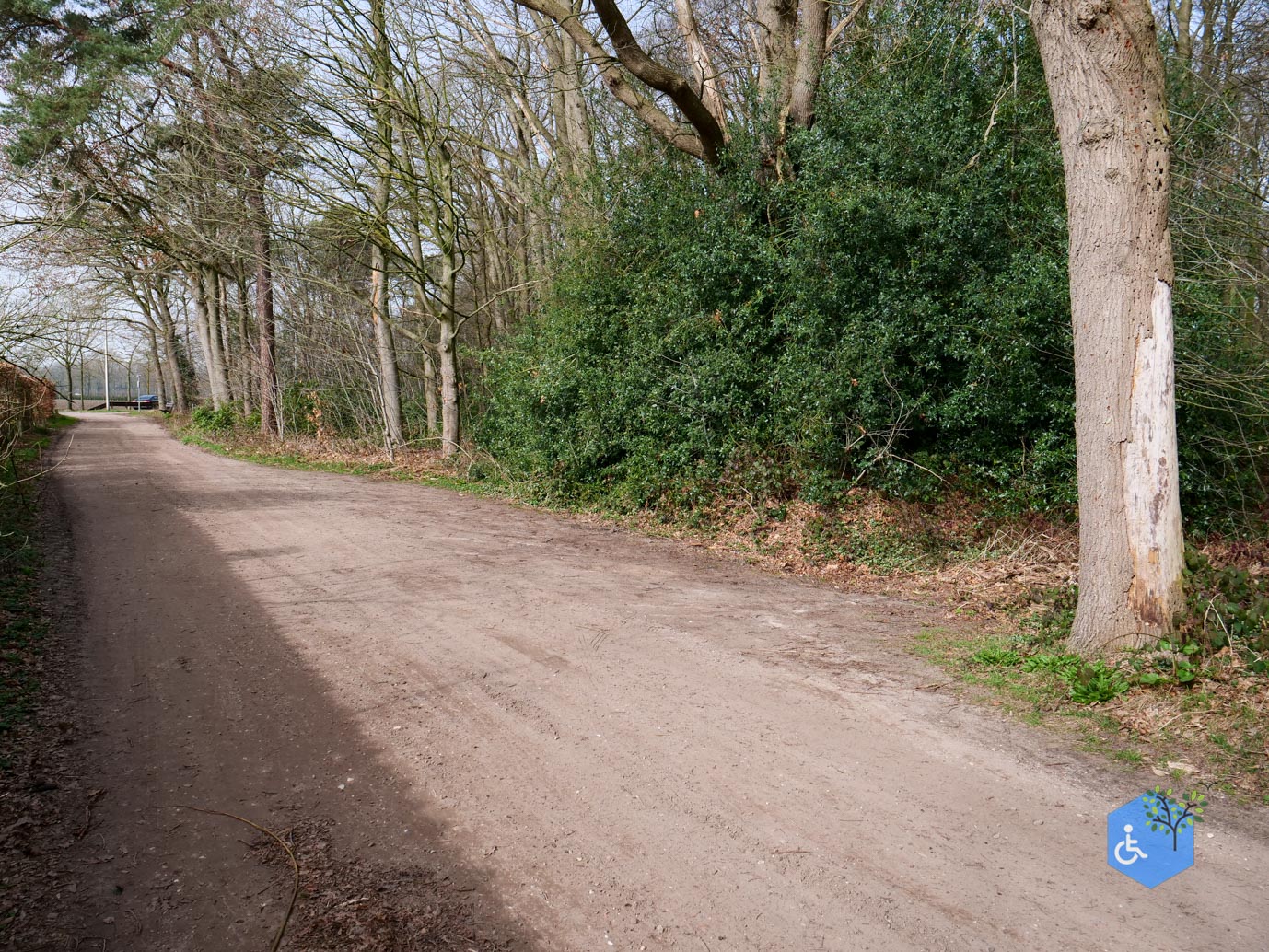 Diessen_Annaninas_Rust_06-03-2026-1