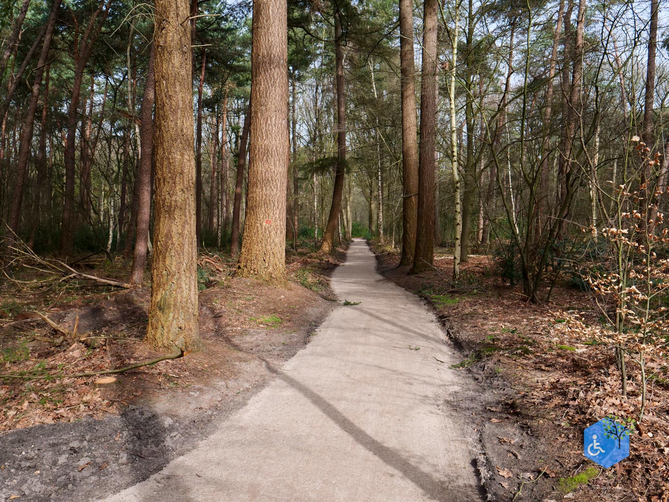 Diessen_Annaninas_Rust_06-03-2026-12