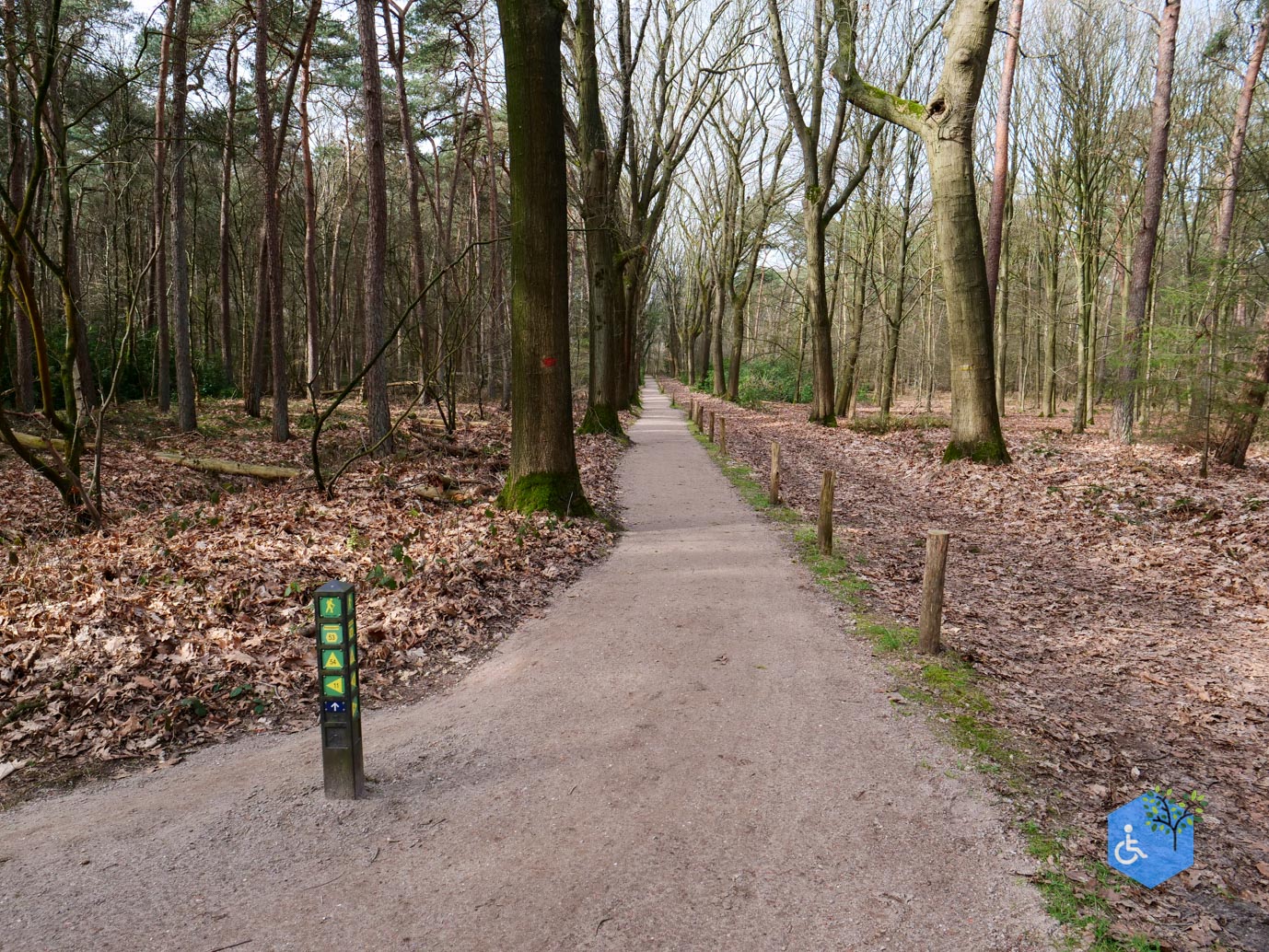 Diessen_Annaninas_Rust_06-03-2026-17