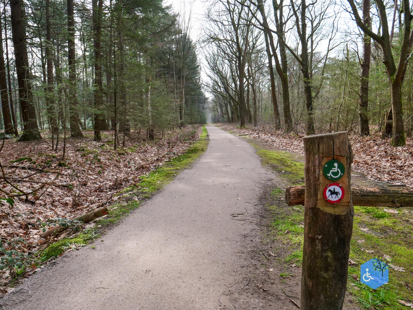 Diessen_Annaninas_Rust_06-03-2026-21