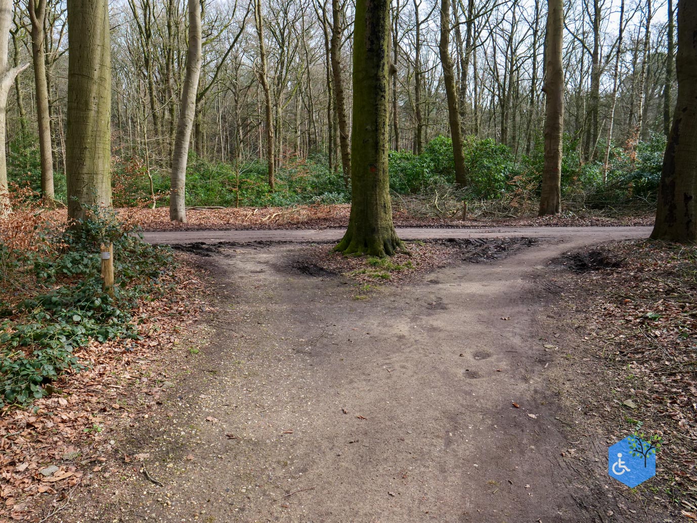 Diessen_Annaninas_Rust_06-03-2026-26