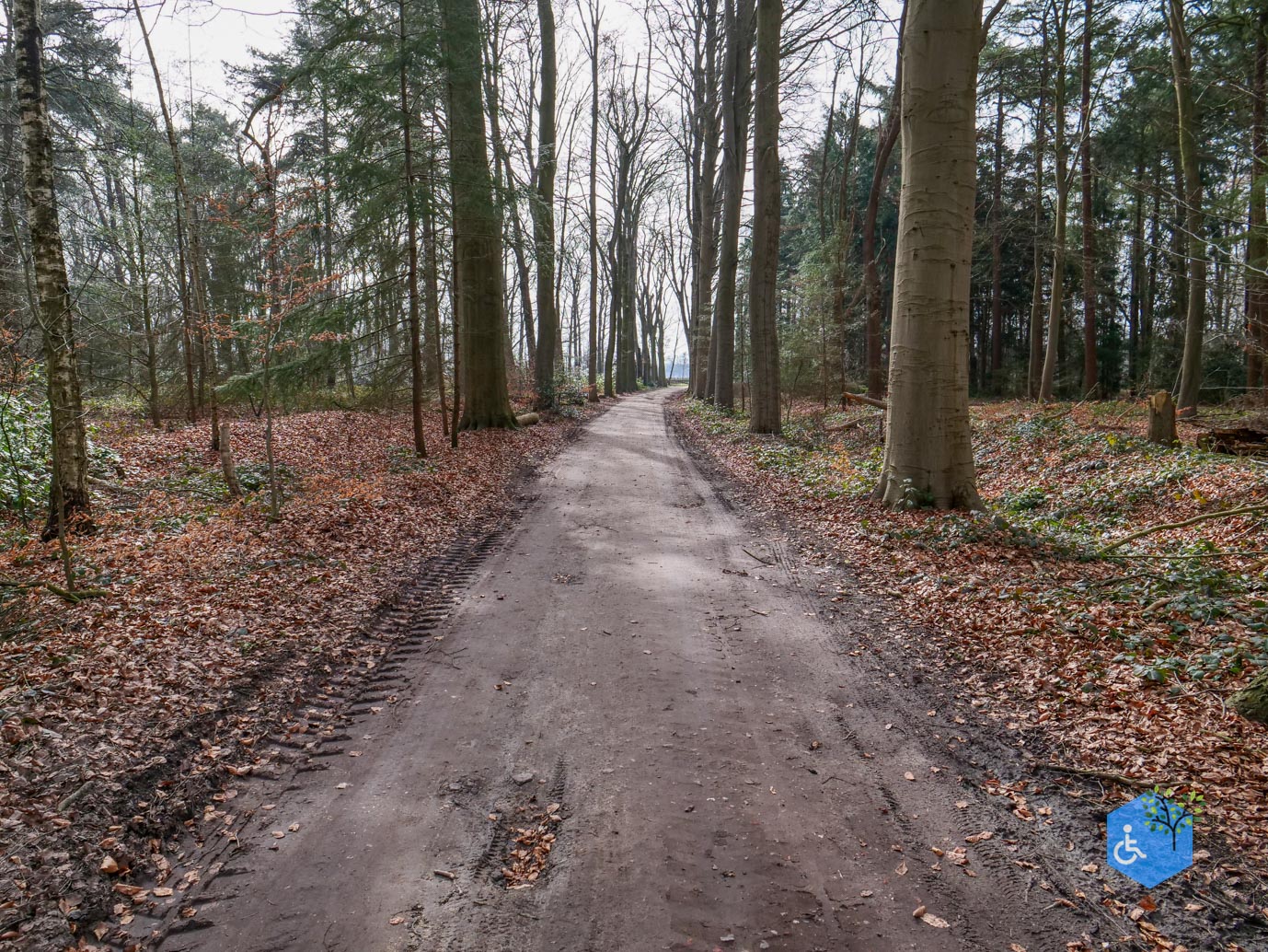 Diessen_Annaninas_Rust_06-03-2026-27