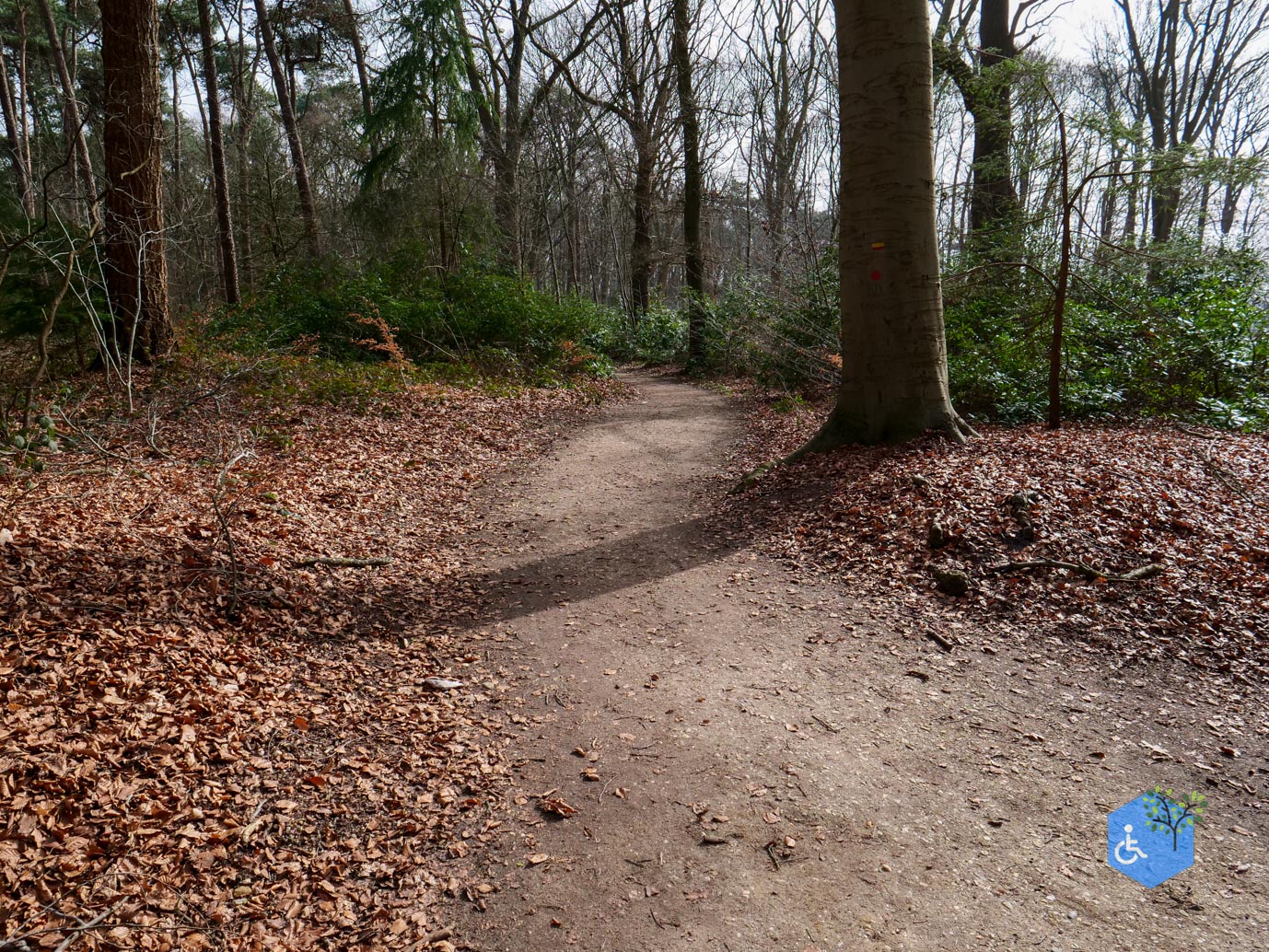 Diessen_Annaninas_Rust_06-03-2026-28