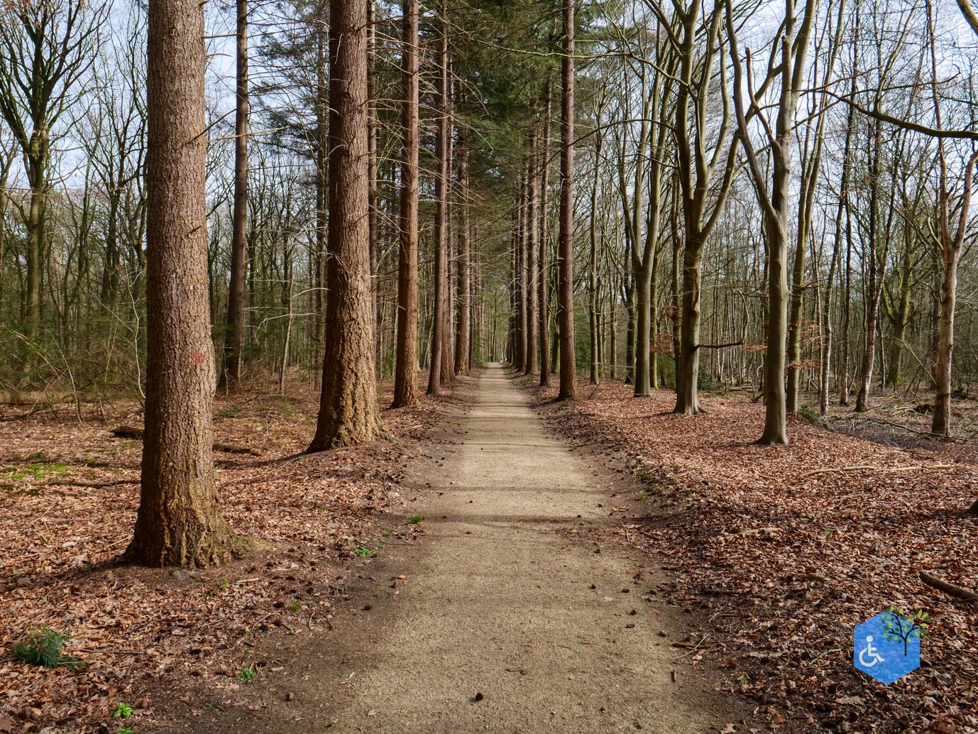 Diessen_Annaninas_Rust_06-03-2026-35