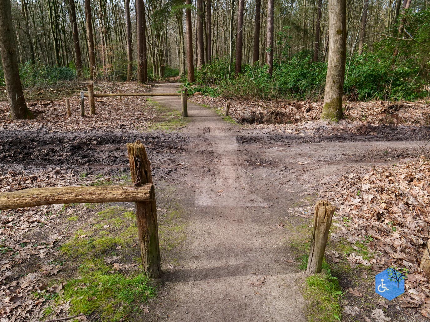 Diessen_Annaninas_Rust_06-03-2026-40