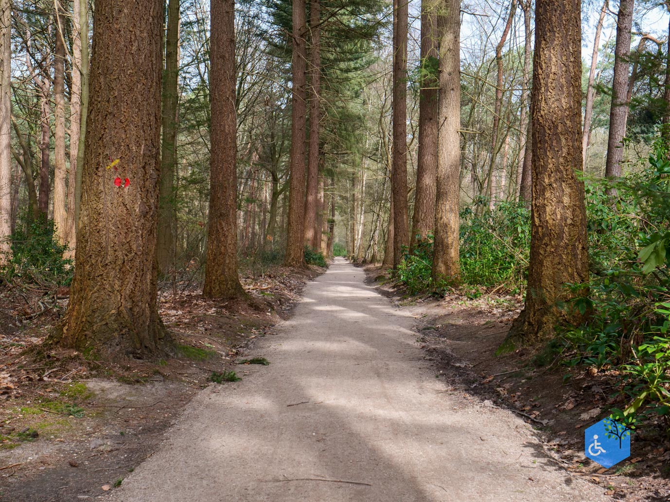 Diessen_Annaninas_Rust_06-03-2026-41