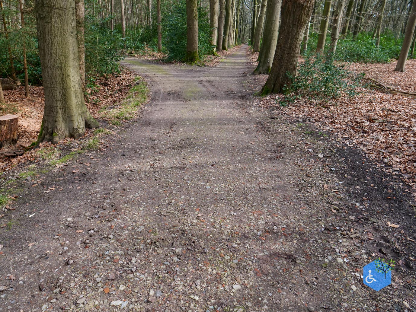 Diessen_Annaninas_Rust_06-03-2026-45