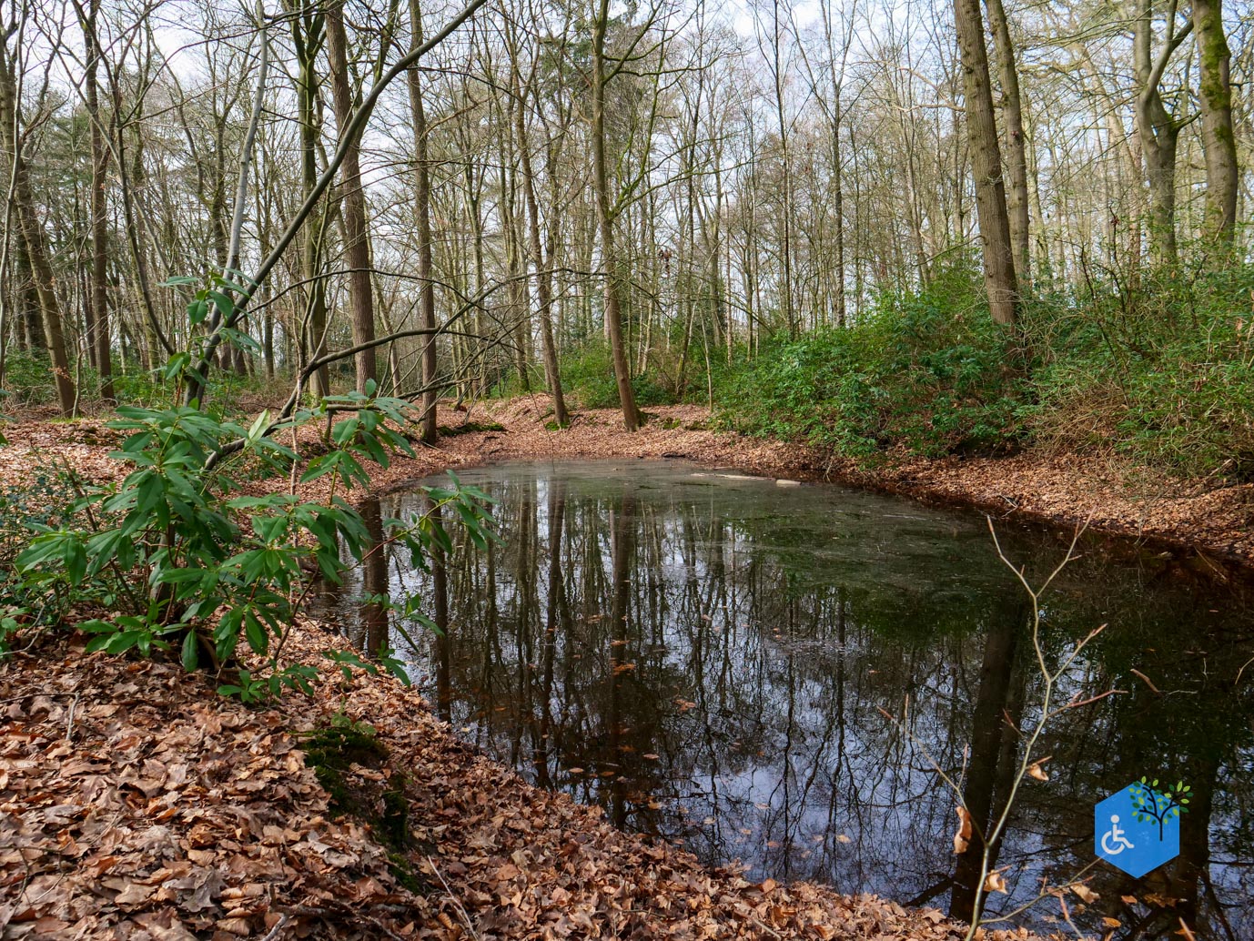 Diessen_Annaninas_Rust_06-03-2026-46