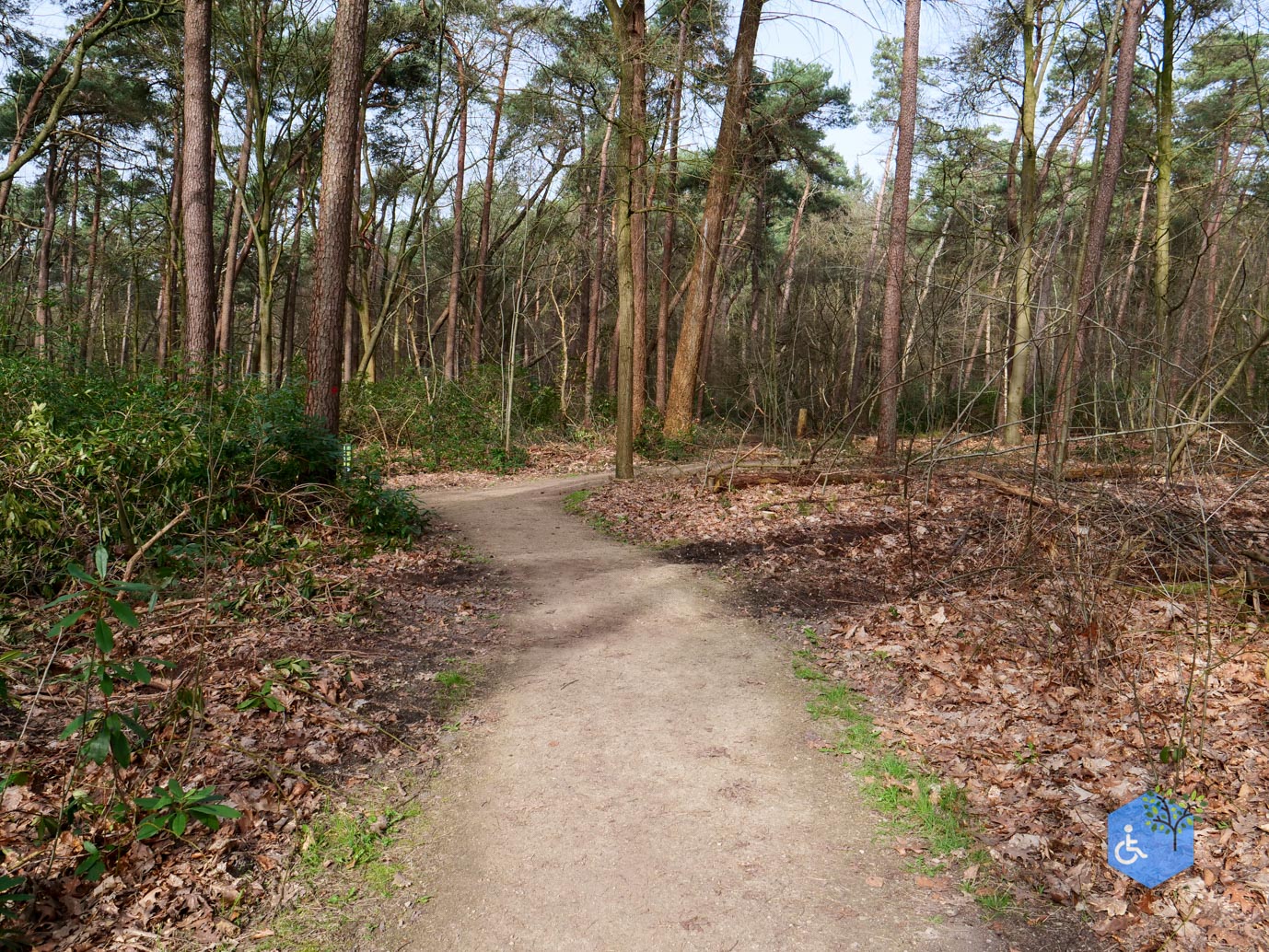 Diessen_Annaninas_Rust_06-03-2026-7