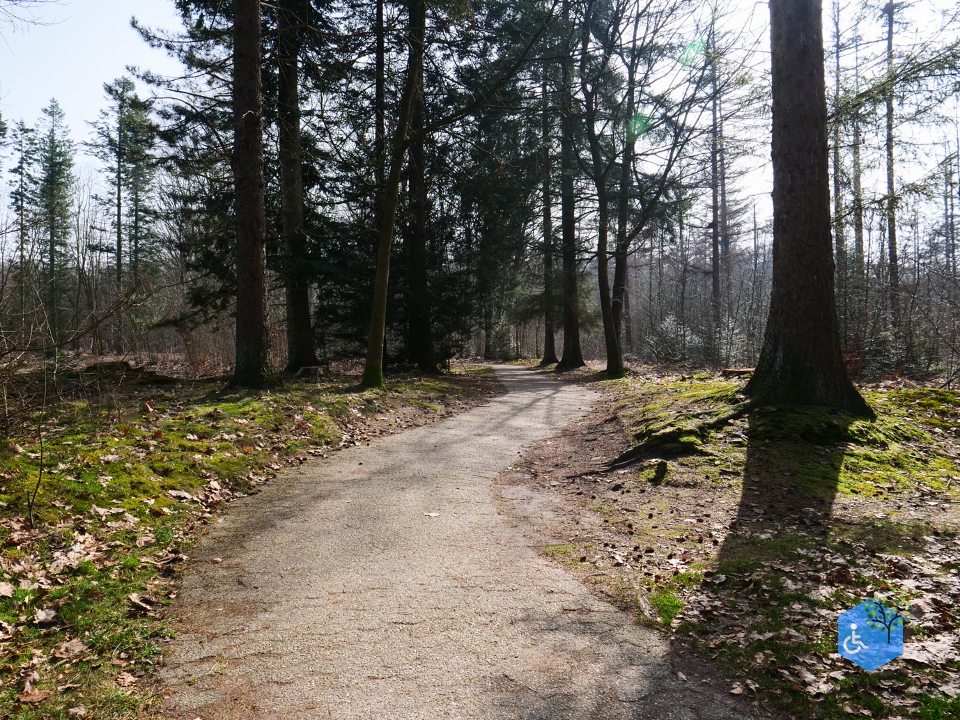Hooghalen_Melkwegpad_en_Bospad_08-03-2026-10