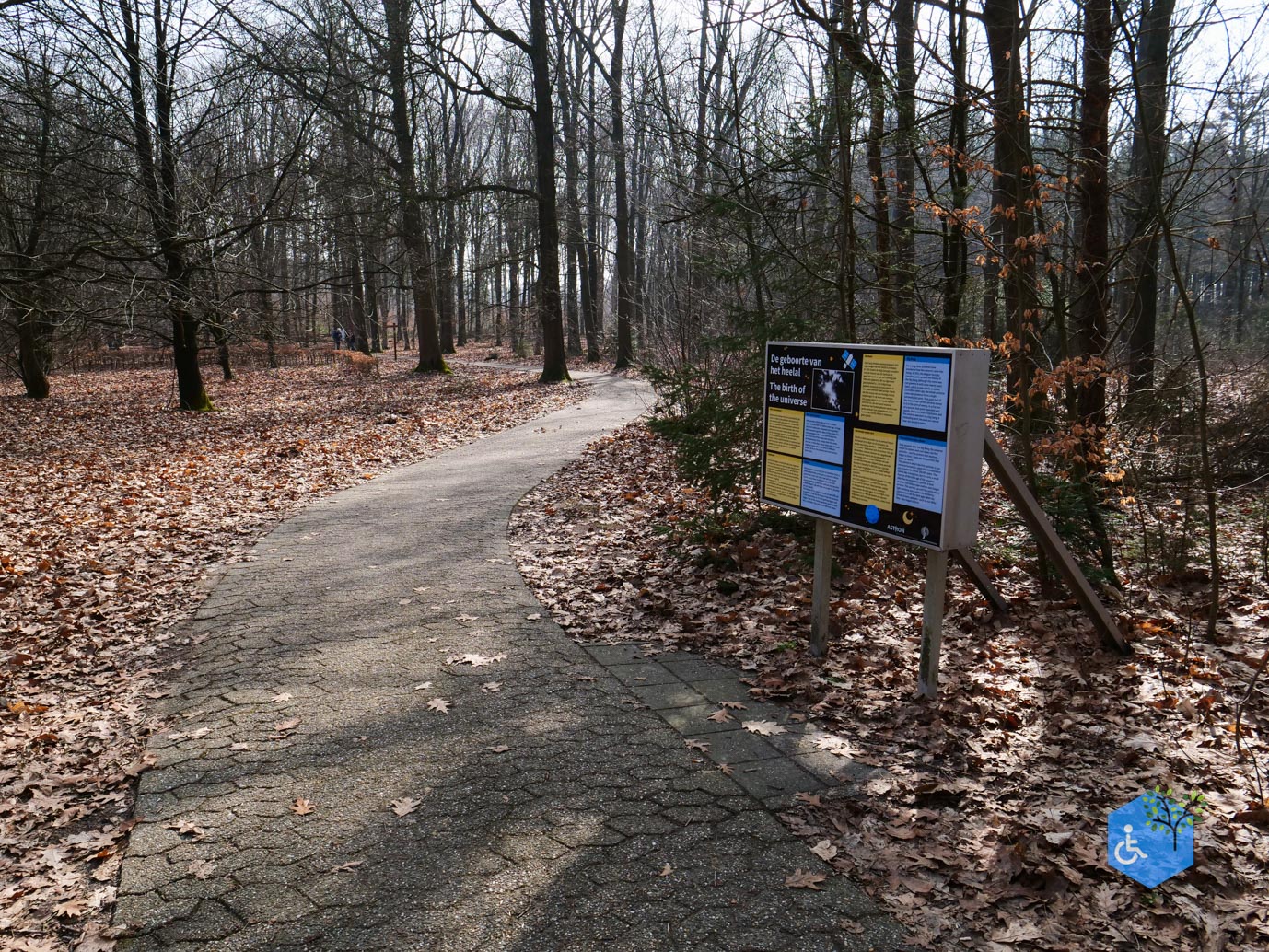 Hooghalen_Melkwegpad_en_Bospad_08-03-2026-14