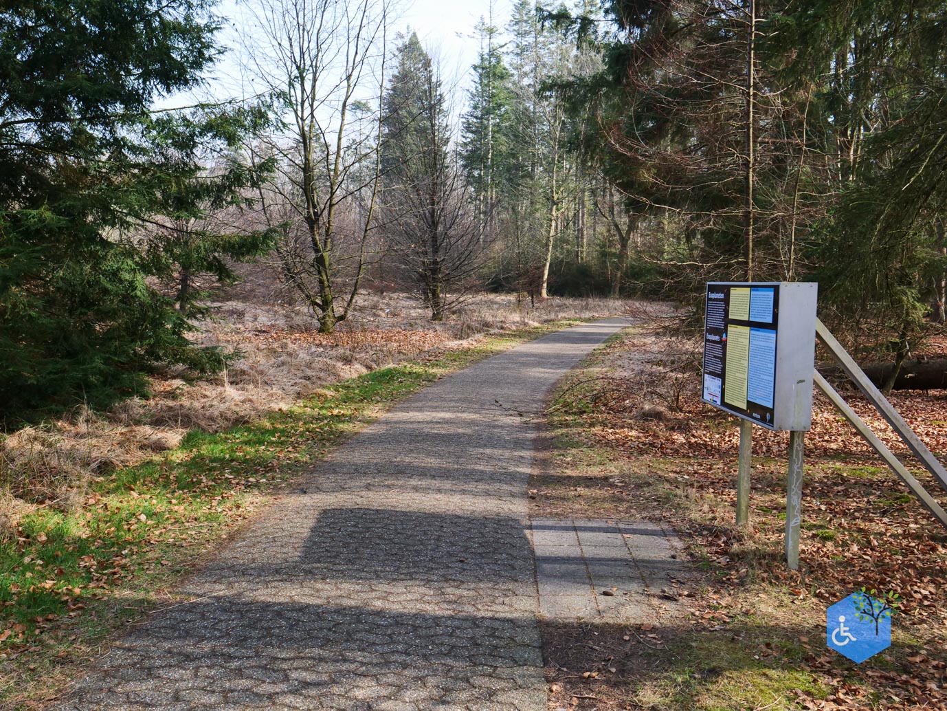 Hooghalen_Melkwegpad_en_Bospad_08-03-2026-16