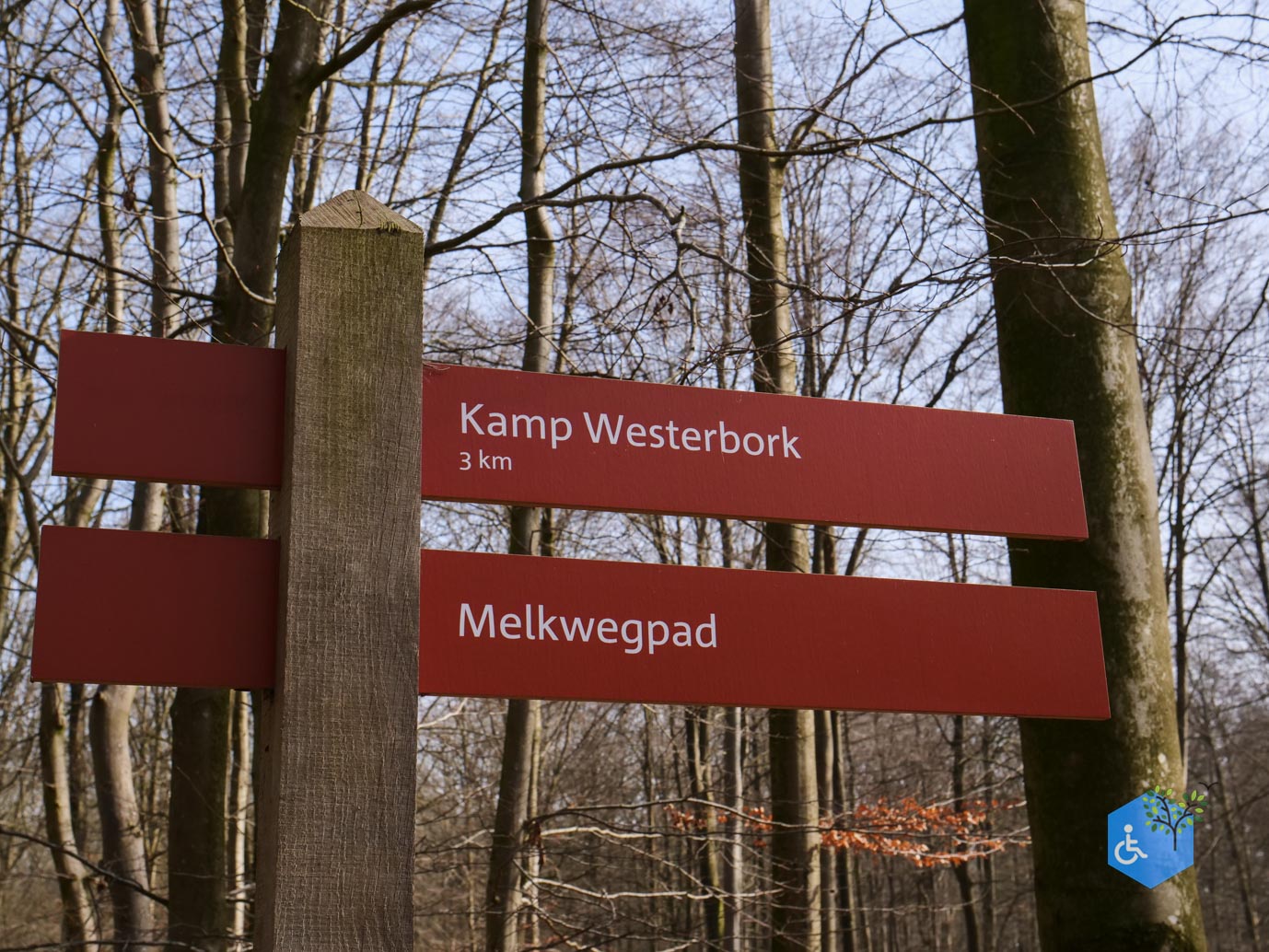 Hooghalen_Melkwegpad_en_Bospad_08-03-2026-2