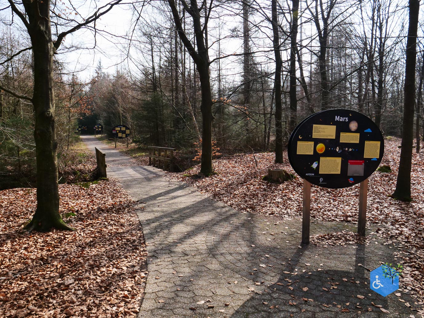 Hooghalen_Melkwegpad_en_Bospad_08-03-2026-30