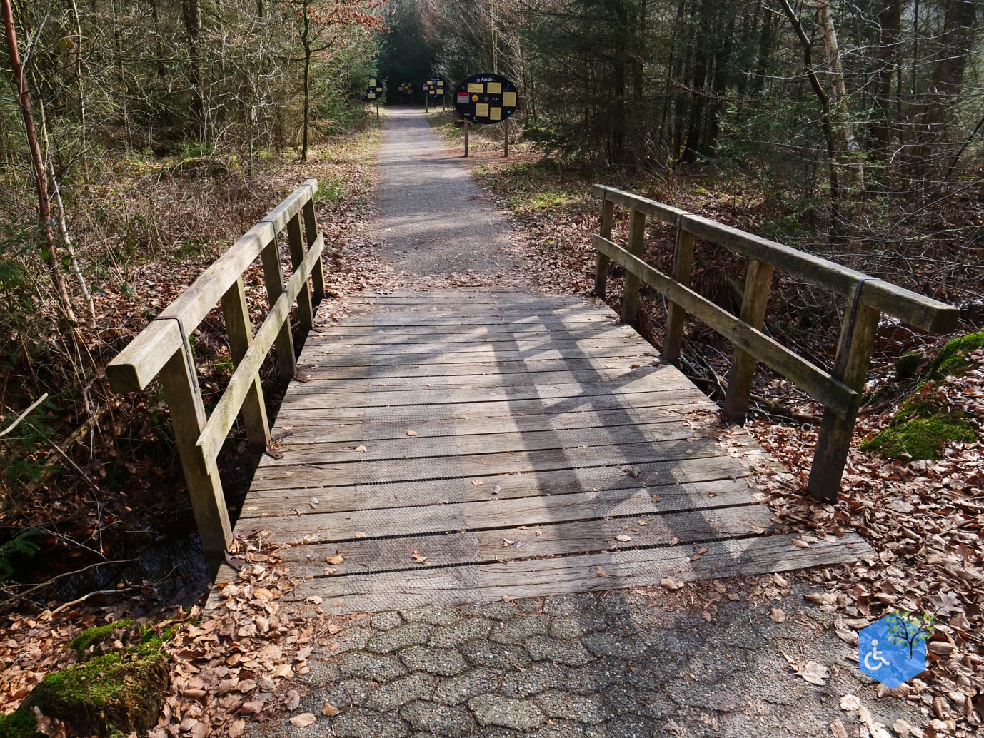 Hooghalen_Melkwegpad_en_Bospad_08-03-2026-31