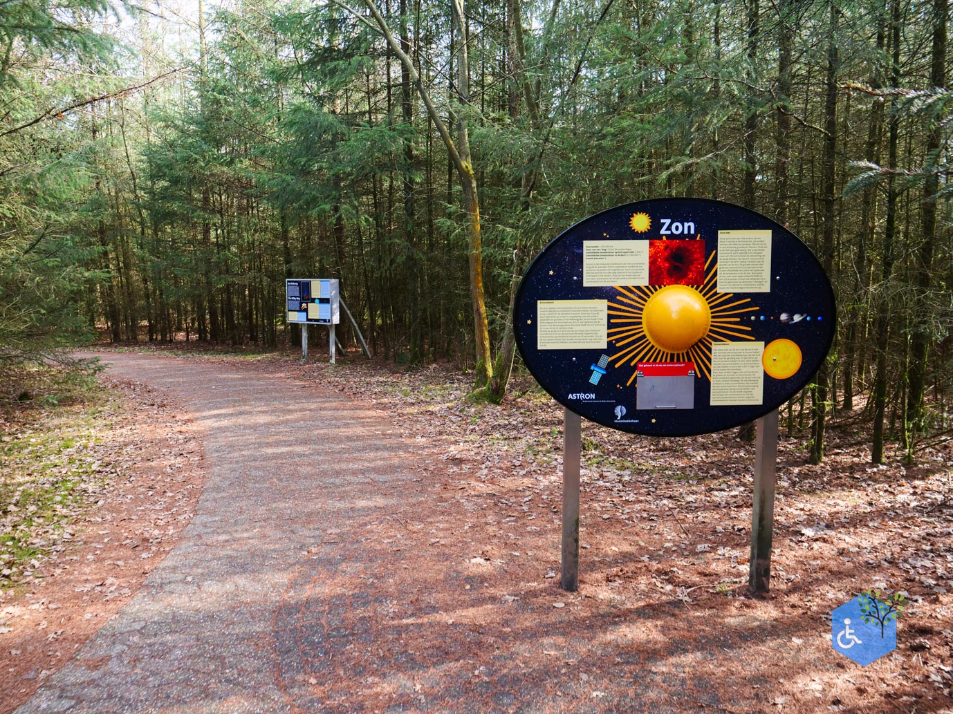 Hooghalen_Melkwegpad_en_Bospad_08-03-2026-33