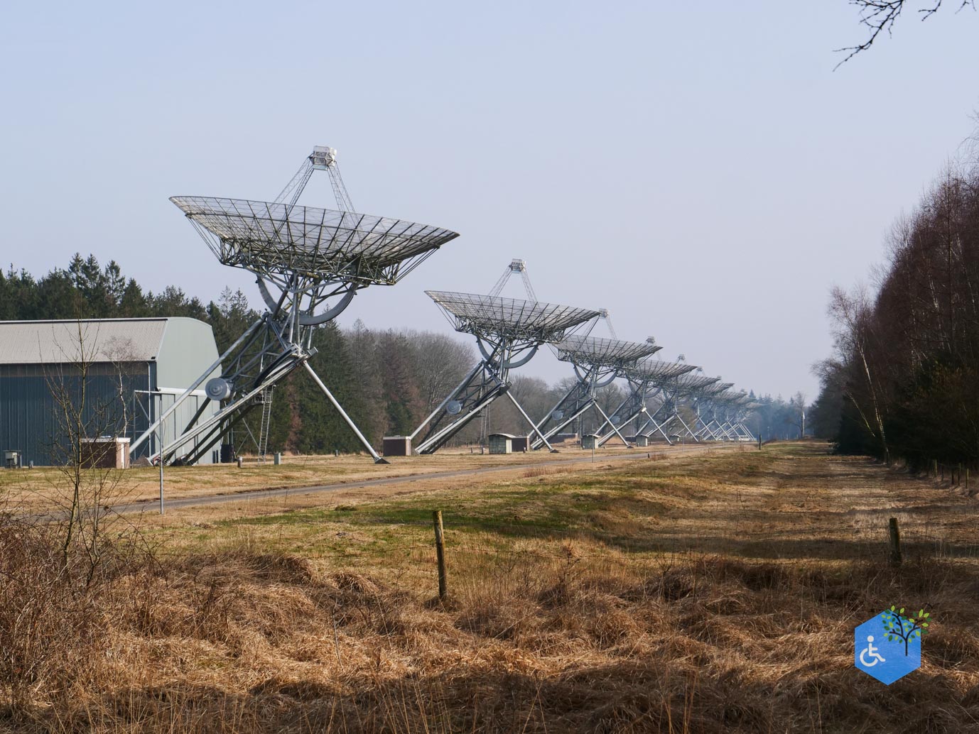 Hooghalen_Melkwegpad_en_Bospad_08-03-2026-34