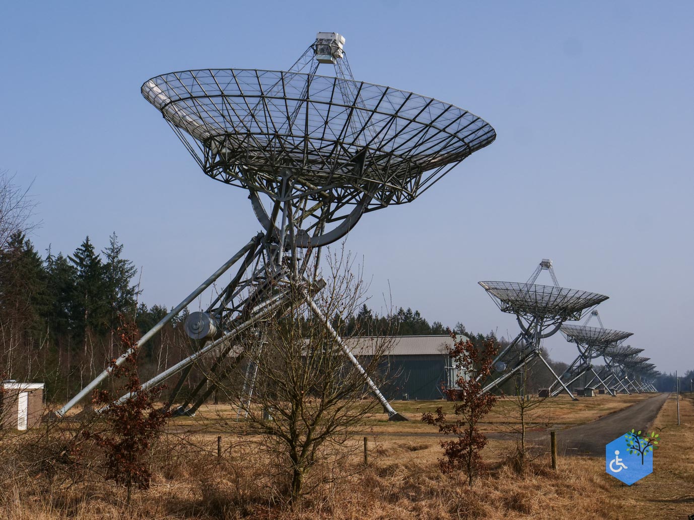 Hooghalen_Melkwegpad_en_Bospad_08-03-2026-36