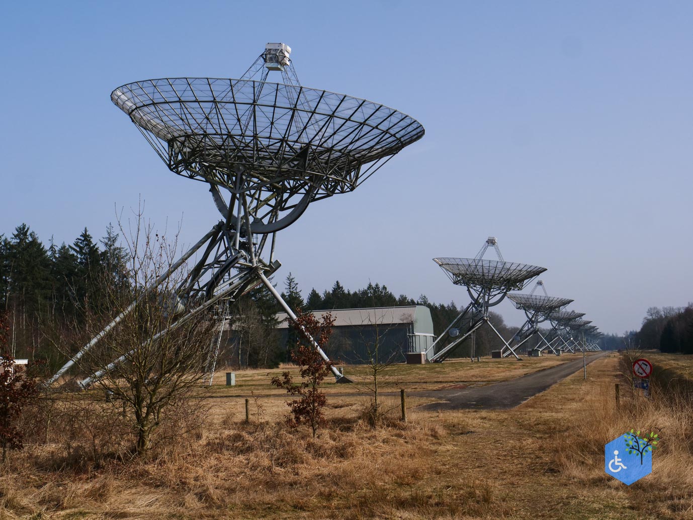 Hooghalen_Melkwegpad_en_Bospad_08-03-2026-37