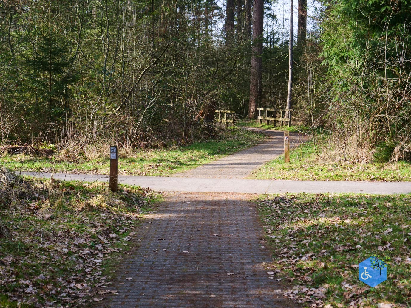 Hooghalen_Melkwegpad_en_Bospad_08-03-2026-40