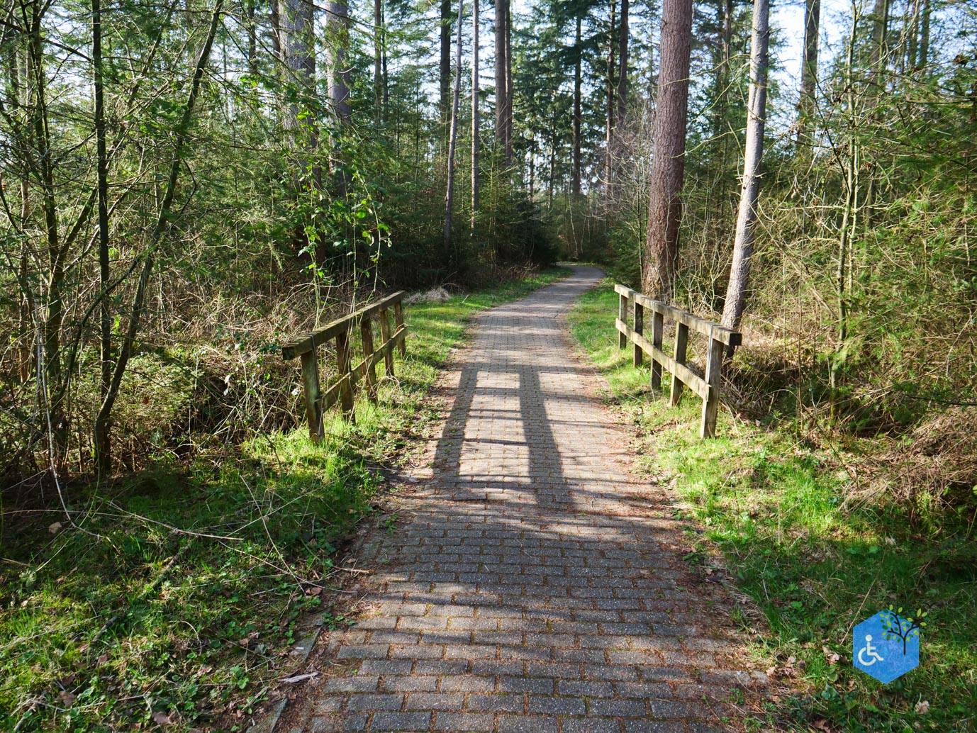 Hooghalen_Melkwegpad_en_Bospad_08-03-2026-41