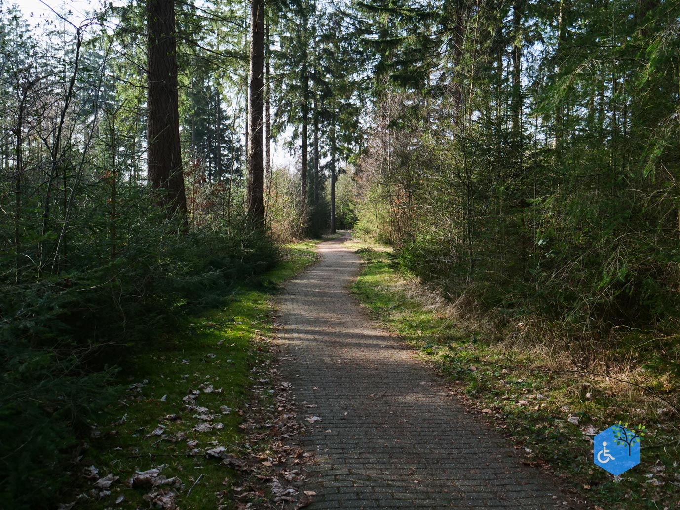 Hooghalen_Melkwegpad_en_Bospad_08-03-2026-42
