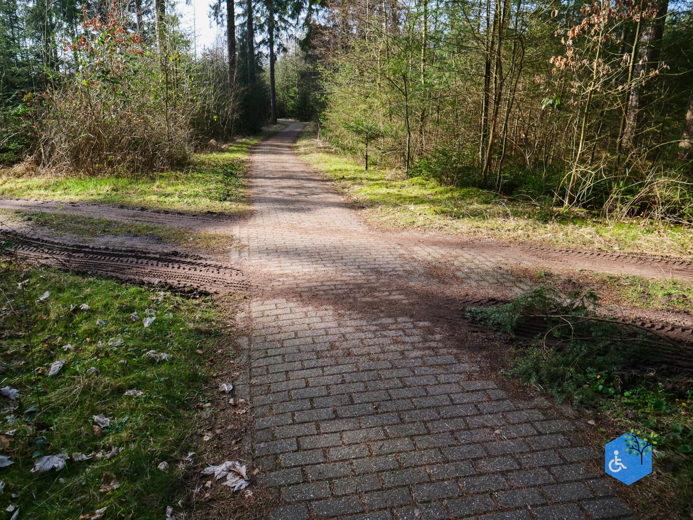 Hooghalen_Melkwegpad_en_Bospad_08-03-2026-43
