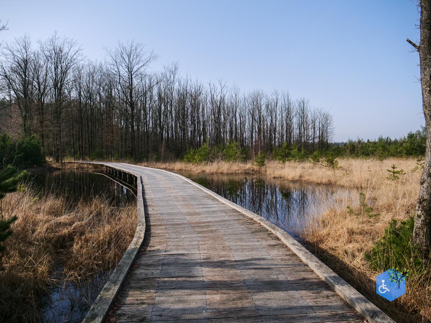 Hooghalen_Melkwegpad_en_Bospad_08-03-2026-46