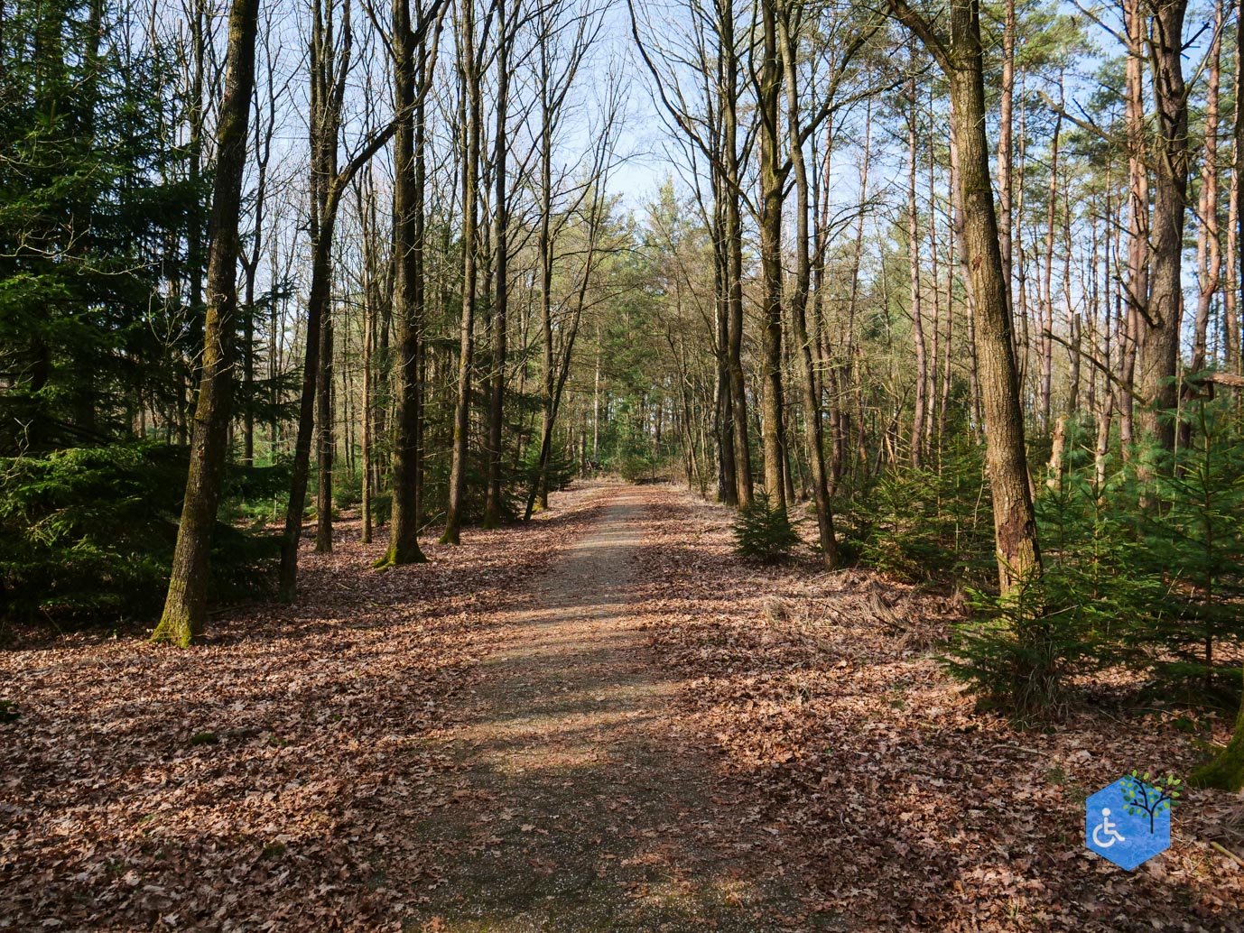 Hooghalen_Melkwegpad_en_Bospad_08-03-2026-51
