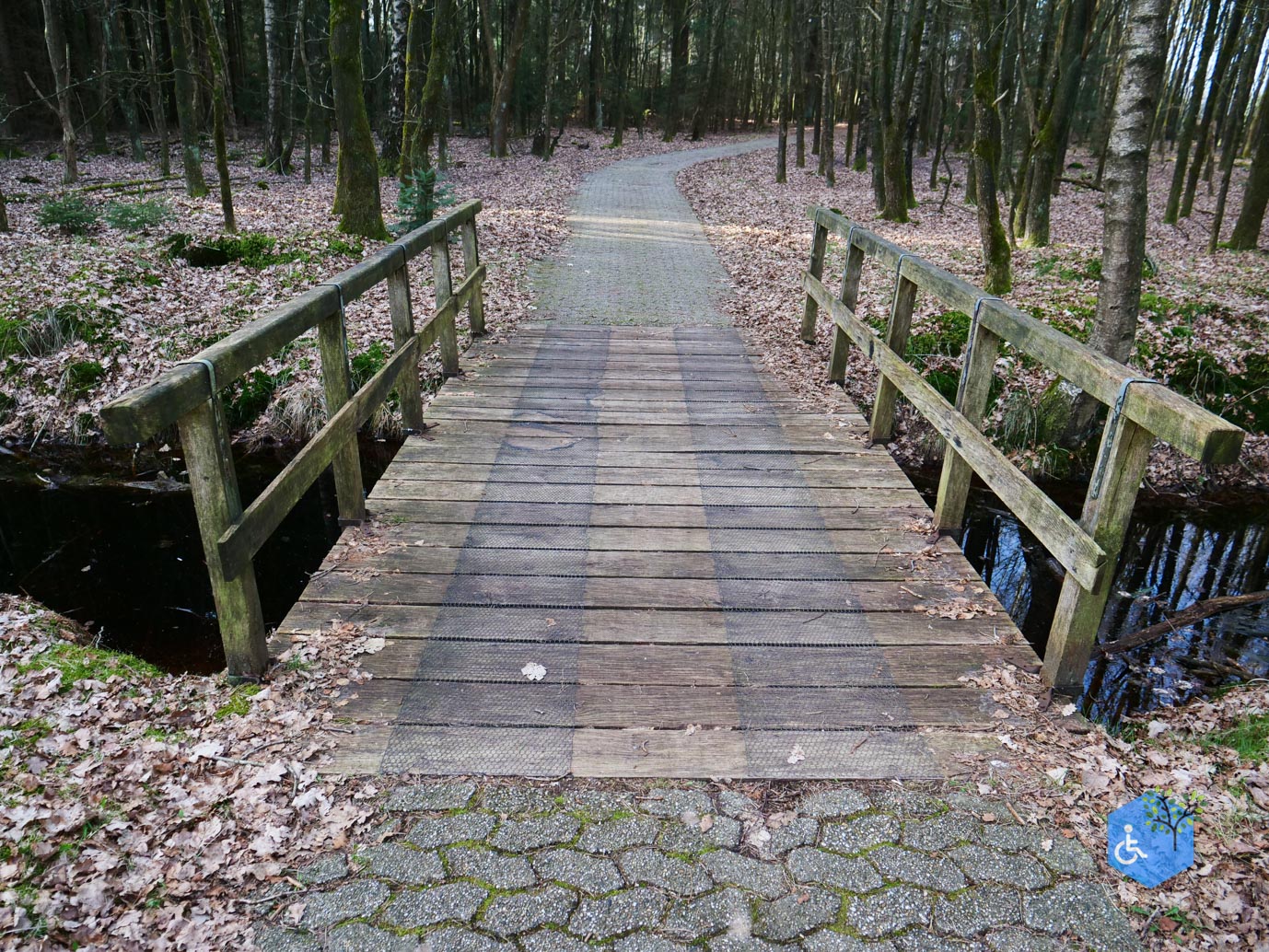 Hooghalen_Melkwegpad_en_Bospad_08-03-2026-52