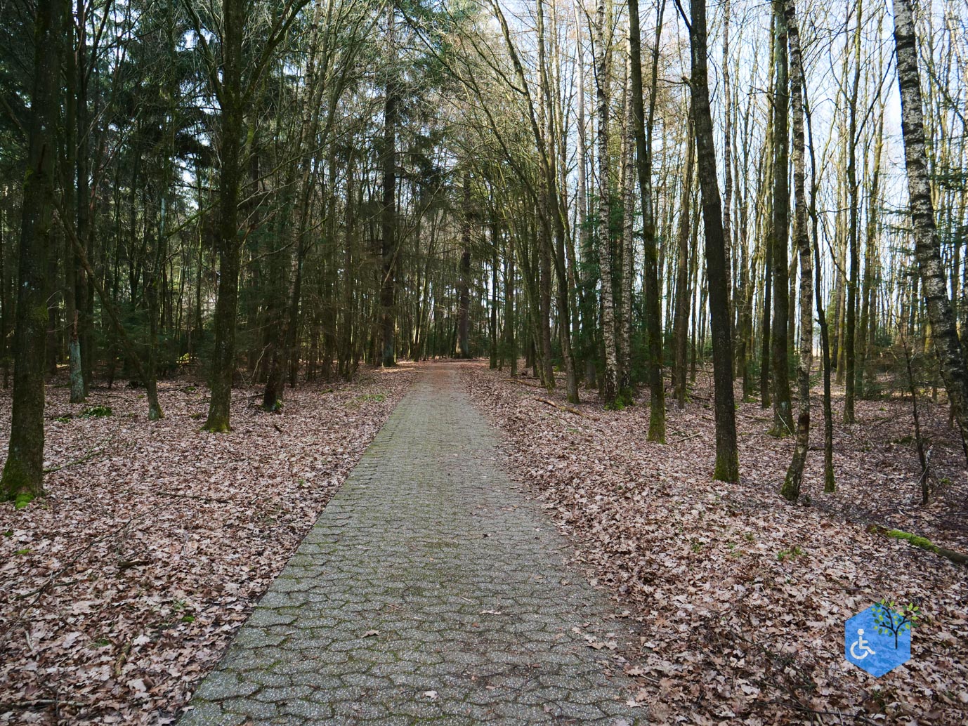 Hooghalen_Melkwegpad_en_Bospad_08-03-2026-53