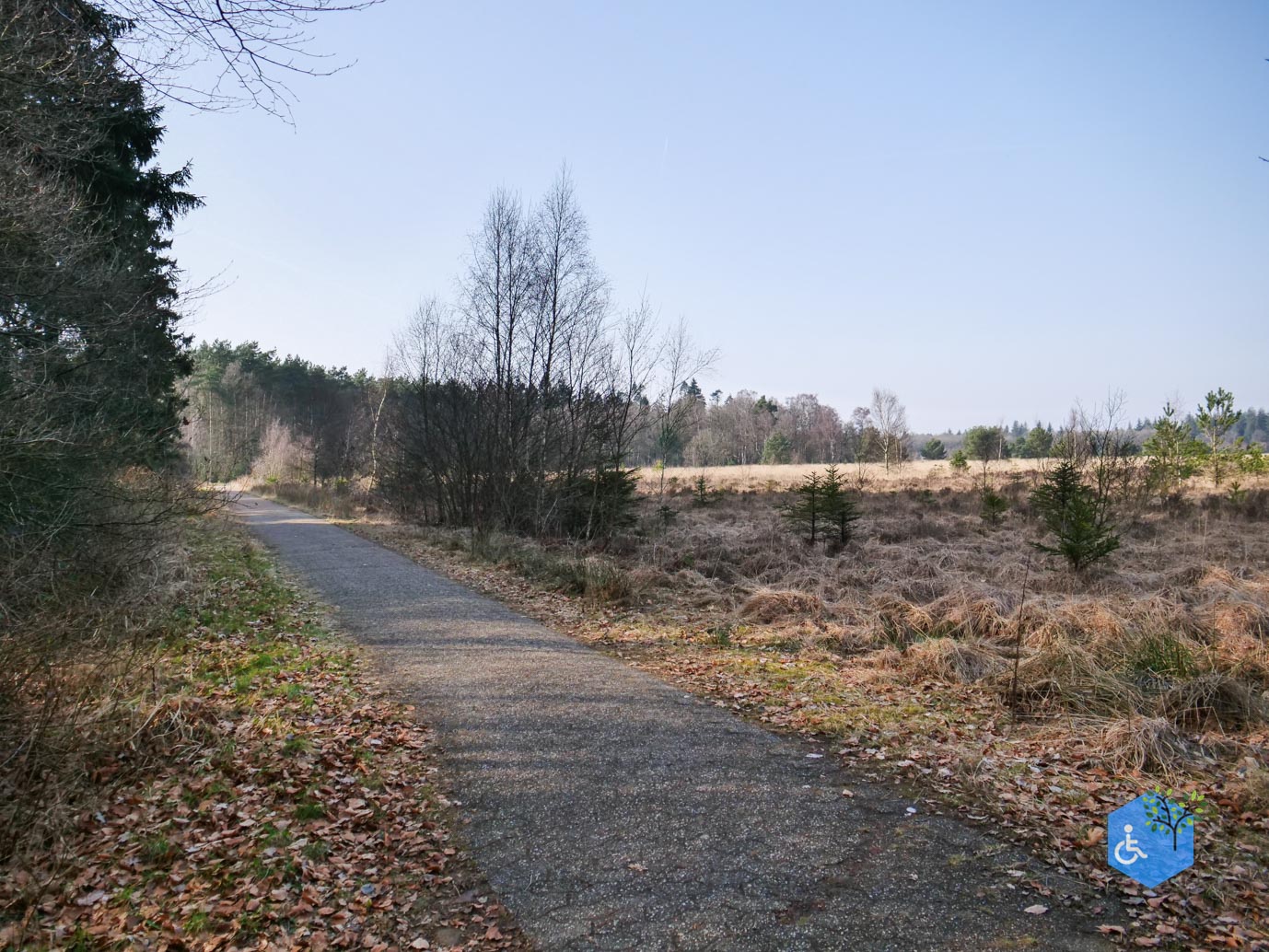 Hooghalen_Melkwegpad_en_Bospad_08-03-2026-55