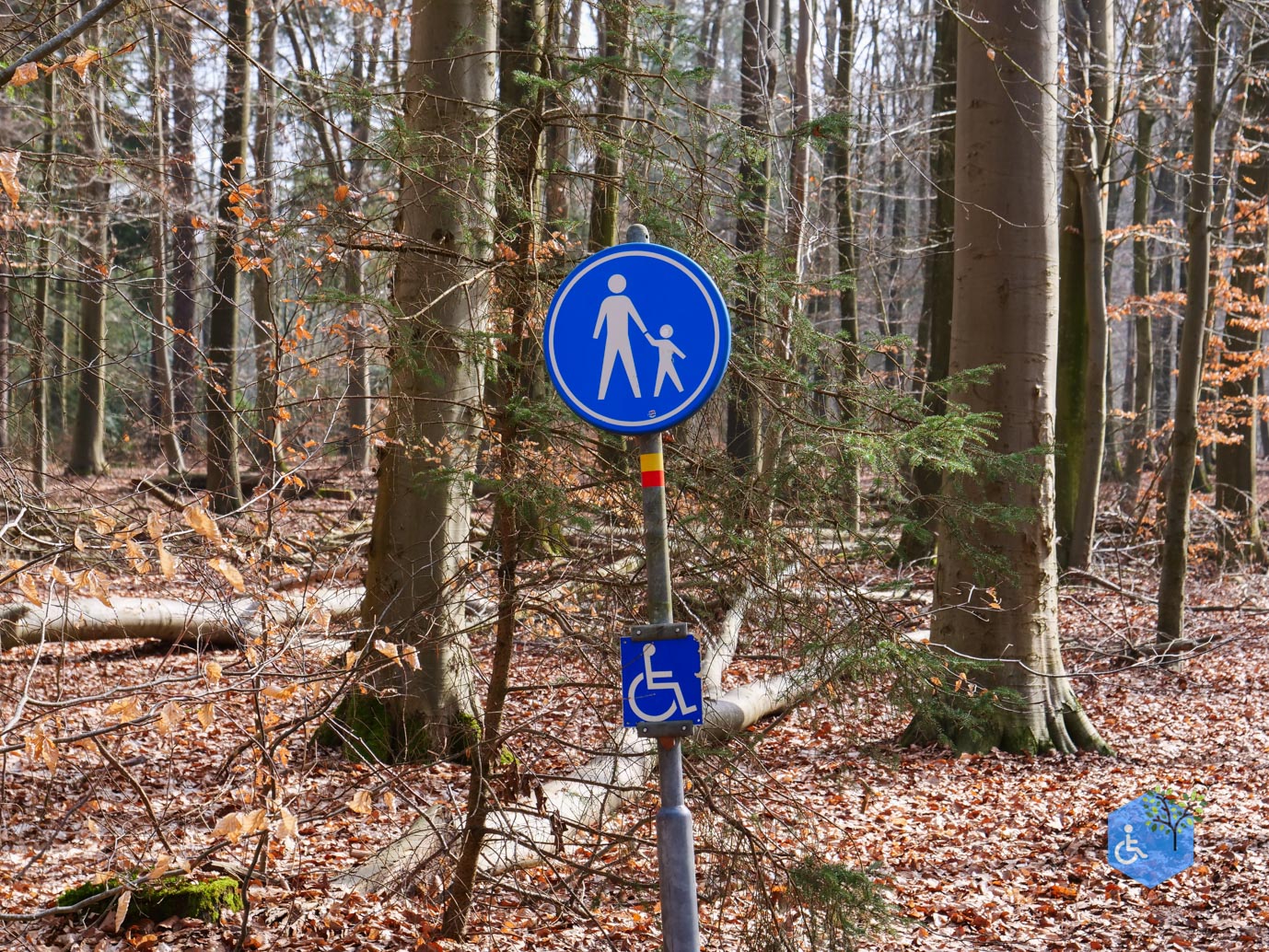 Hooghalen_Melkwegpad_en_Bospad_08-03-2026-6