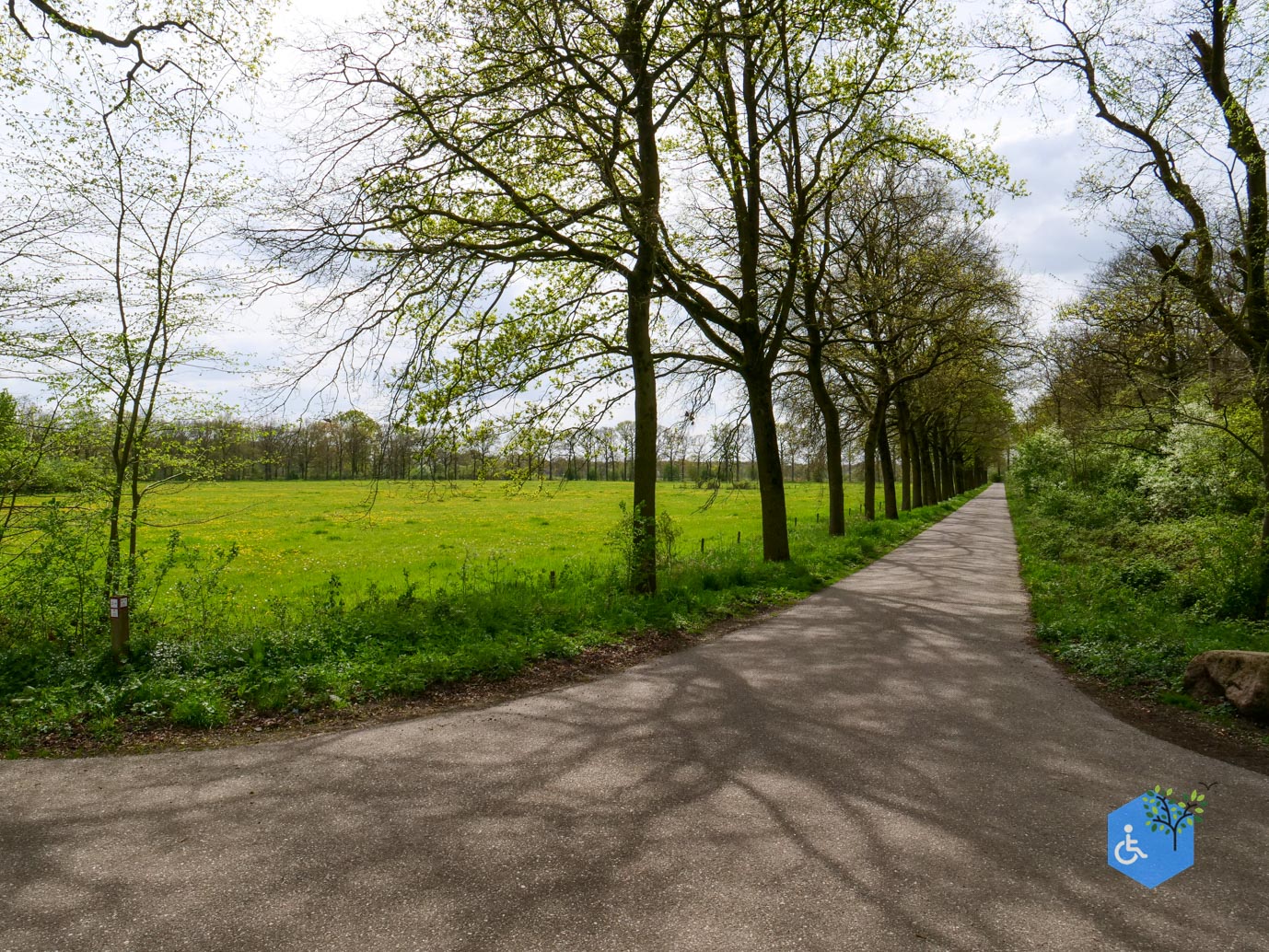Mill_Rolstoelroute_Landgoed_Tongelaar_17-04-2026-25