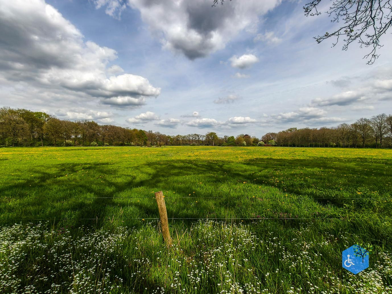 Mill_Rolstoelroute_Landgoed_Tongelaar_17-04-2026-34