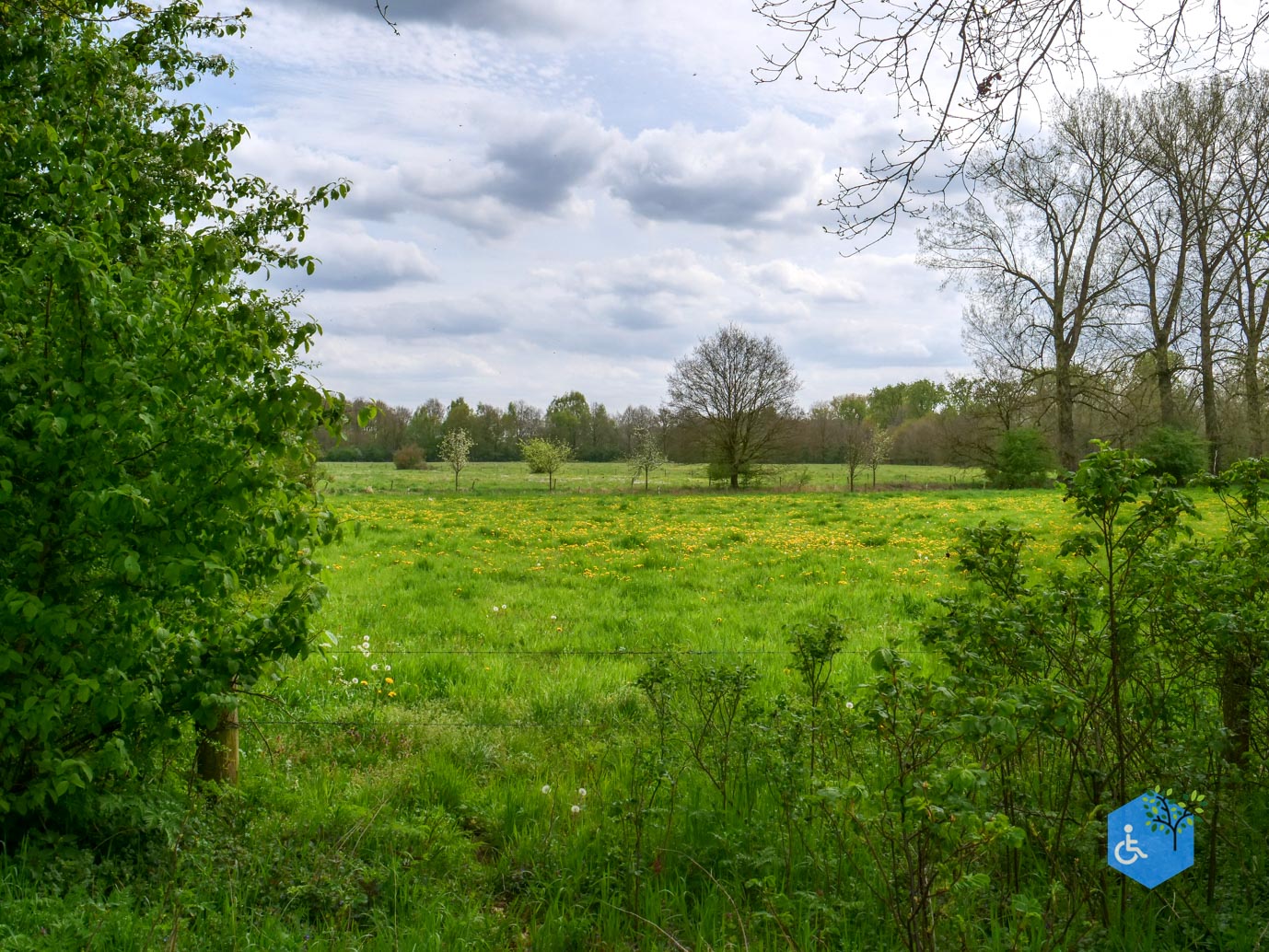 Mill_Rolstoelroute_Landgoed_Tongelaar_17-04-2026-9