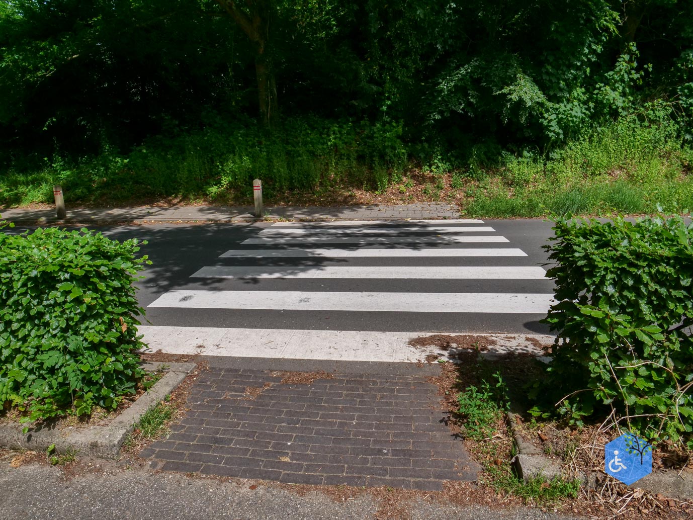 Rozendaal_Kasteelpark_Rosendael_29-05-2026-3