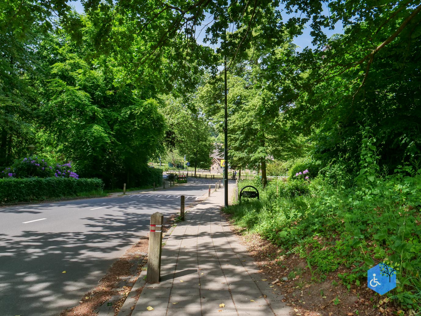 Rozendaal_Kasteelpark_Rosendael_29-05-2026-5