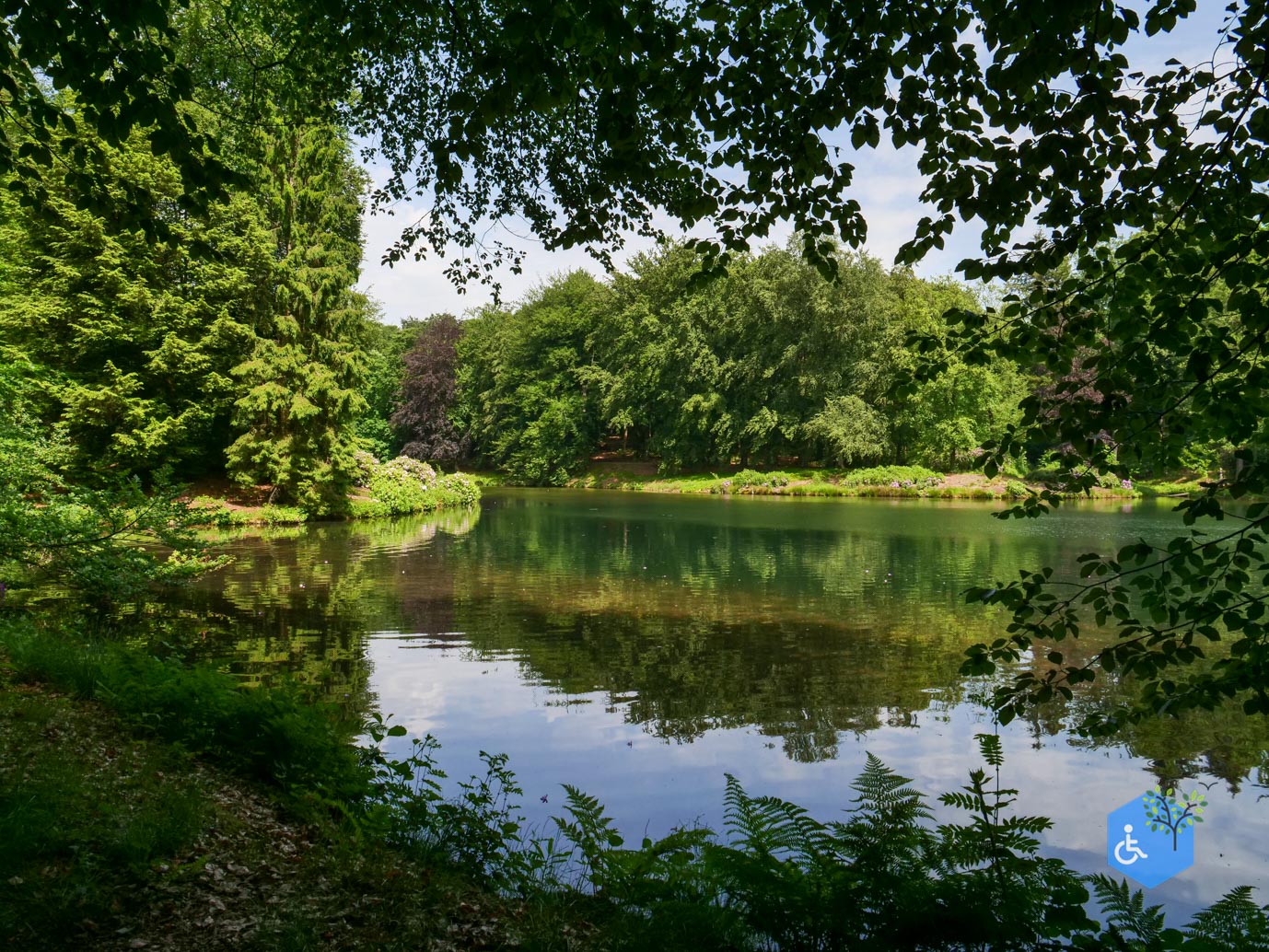 Rozendaal_Kasteelpark_Rosendael_29-05-2026-53