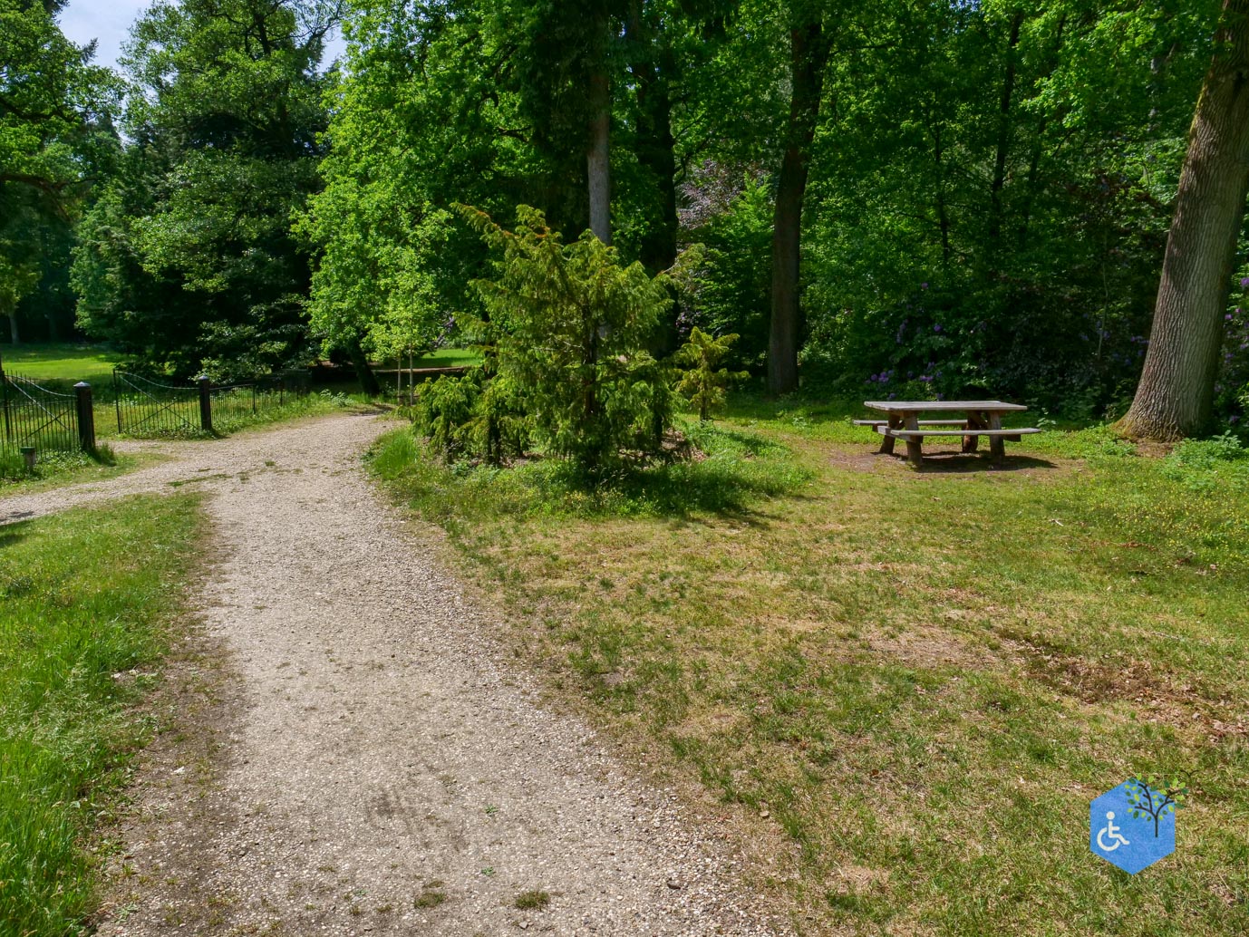 Rozendaal_Kasteelpark_Rosendael_29-05-2026-67