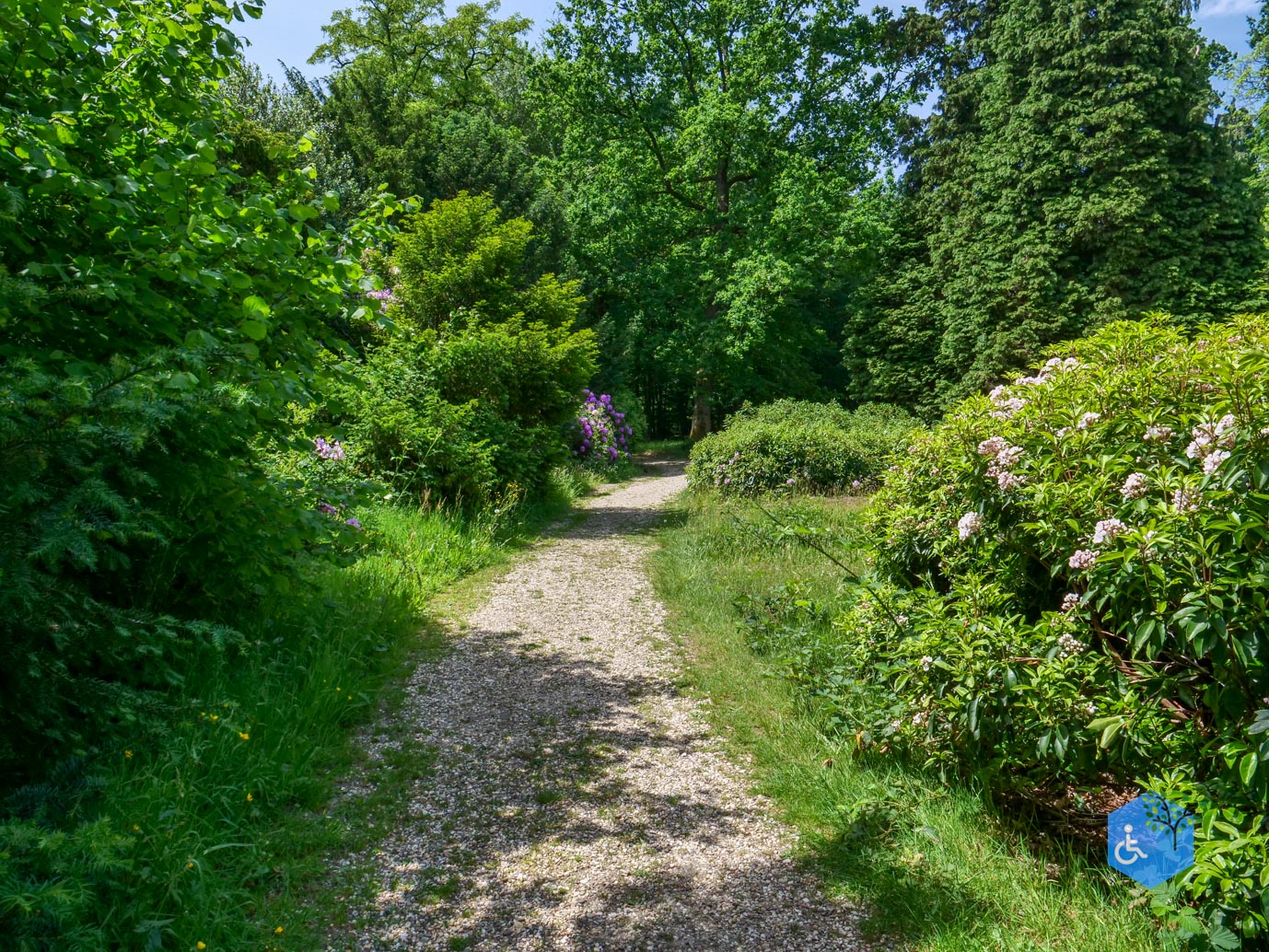 Rozendaal_Kasteelpark_Rosendael_lang_29-05-2026-39