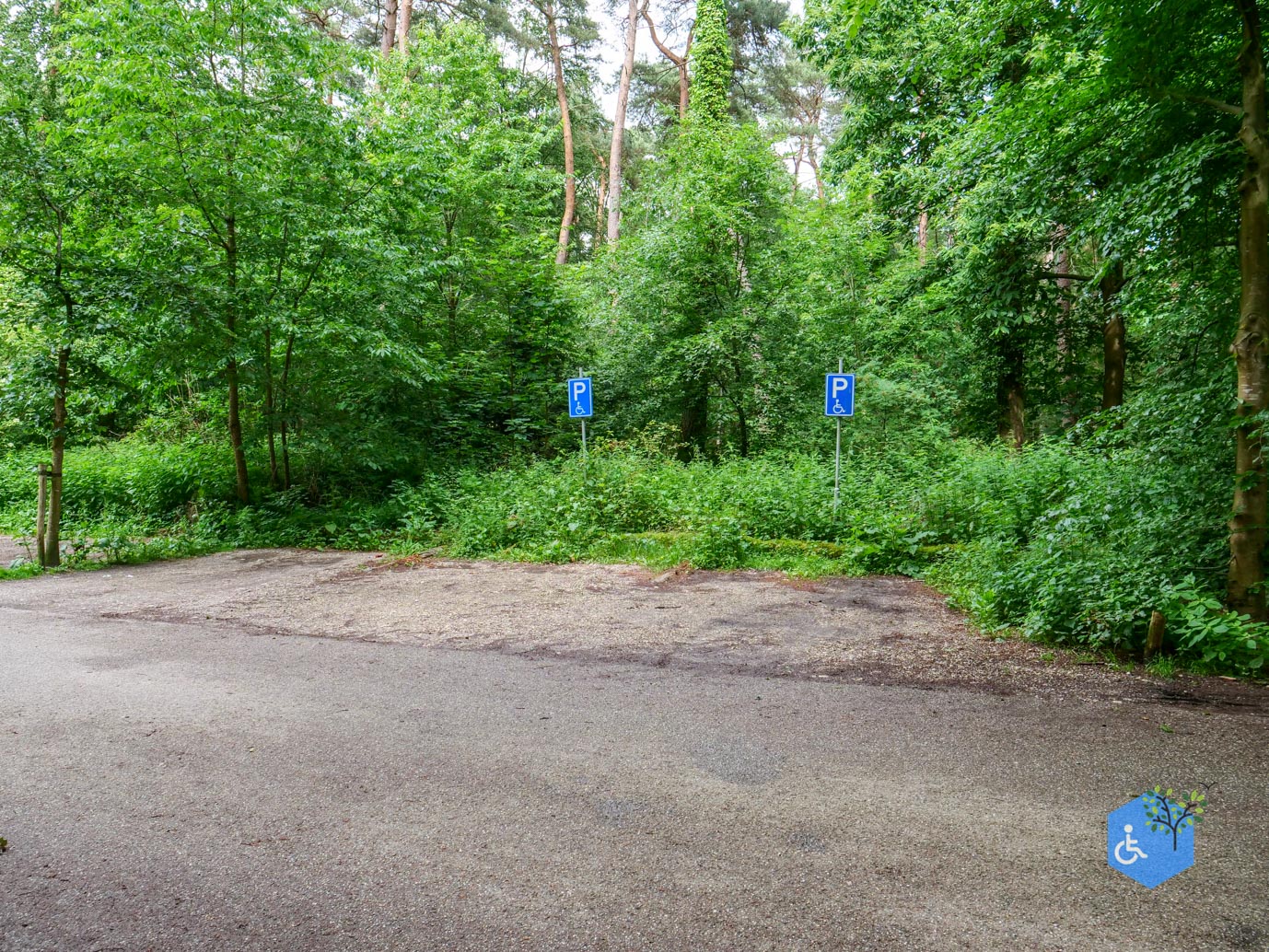 Malden_Familiepad_Heumensoord_06-06-2026.jpg-1