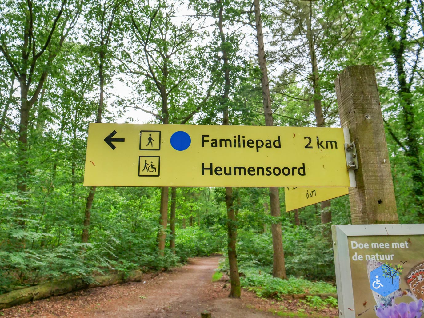 Malden_Familiepad_Heumensoord_06-06-2026.jpg-3