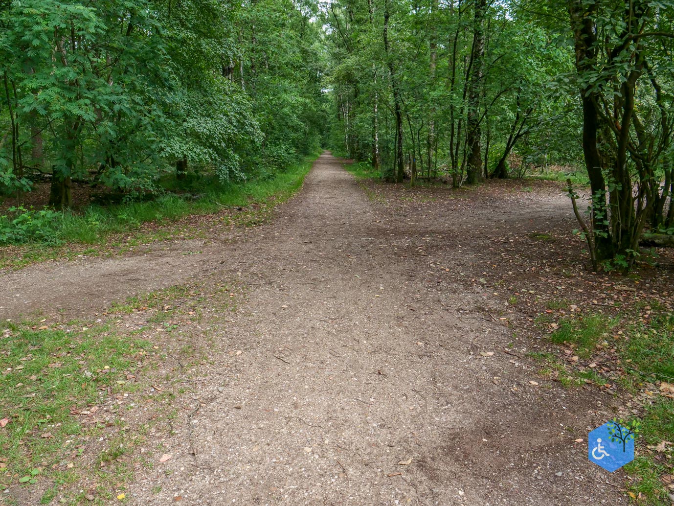 Malden_Familiepad_Heumensoord_06-06-2026.jpg-38