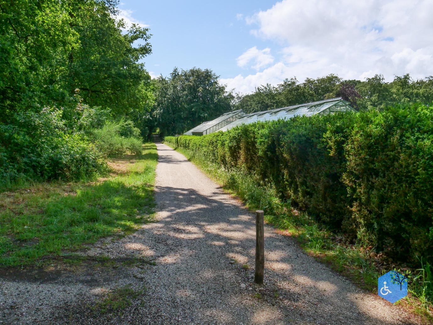 Molenhoek_Landgoedpad_Mookerheide_05-06-2026-11