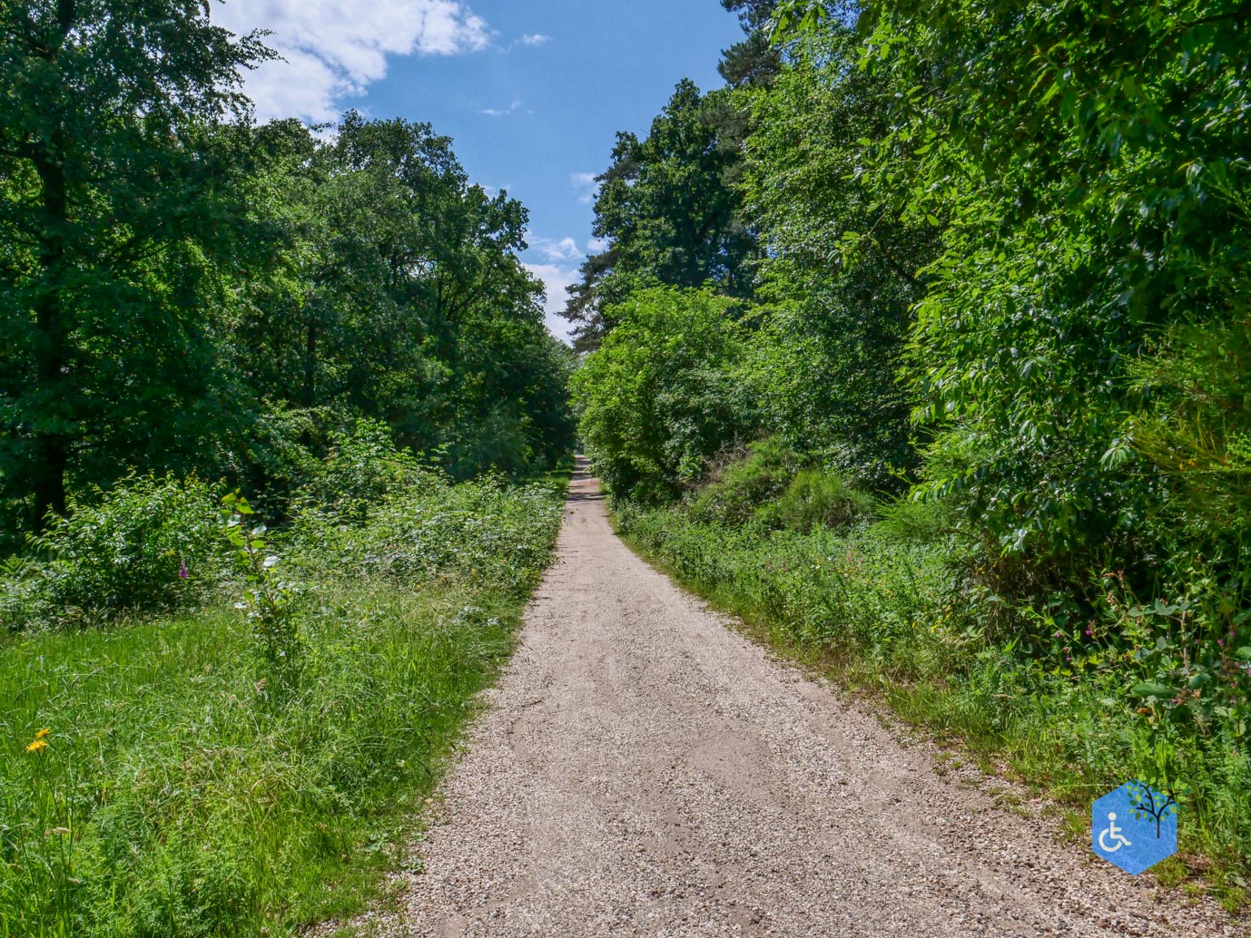 Molenhoek_Landgoedpad_Mookerheide_05-06-2026-13