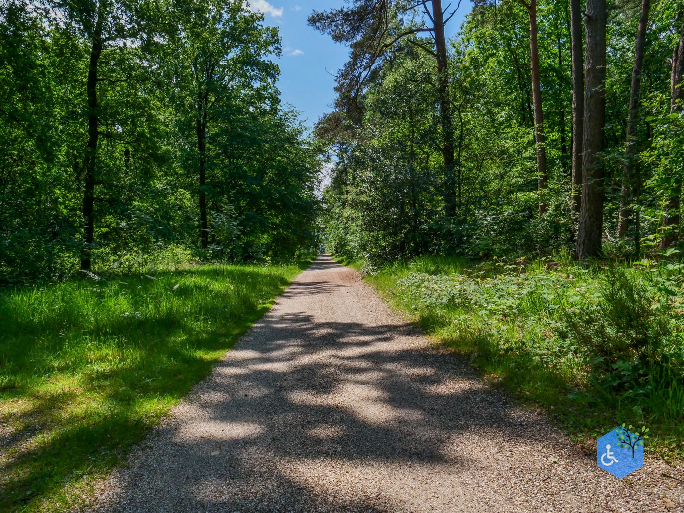 Molenhoek_Landgoedpad_Mookerheide_05-06-2026-14