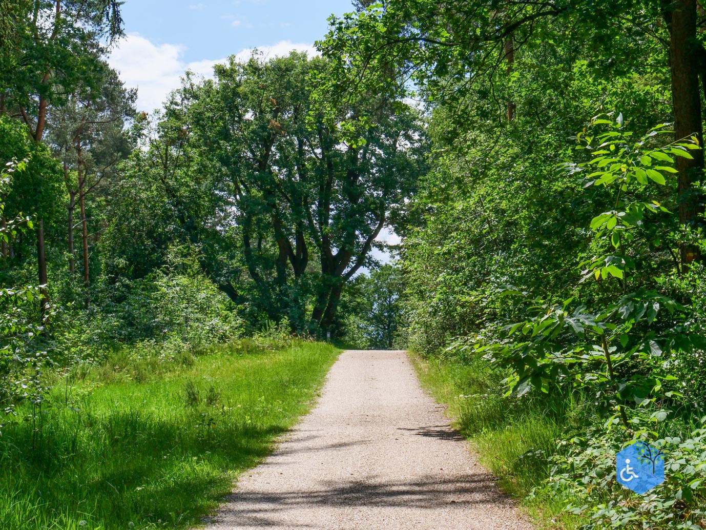 Molenhoek_Landgoedpad_Mookerheide_05-06-2026-15